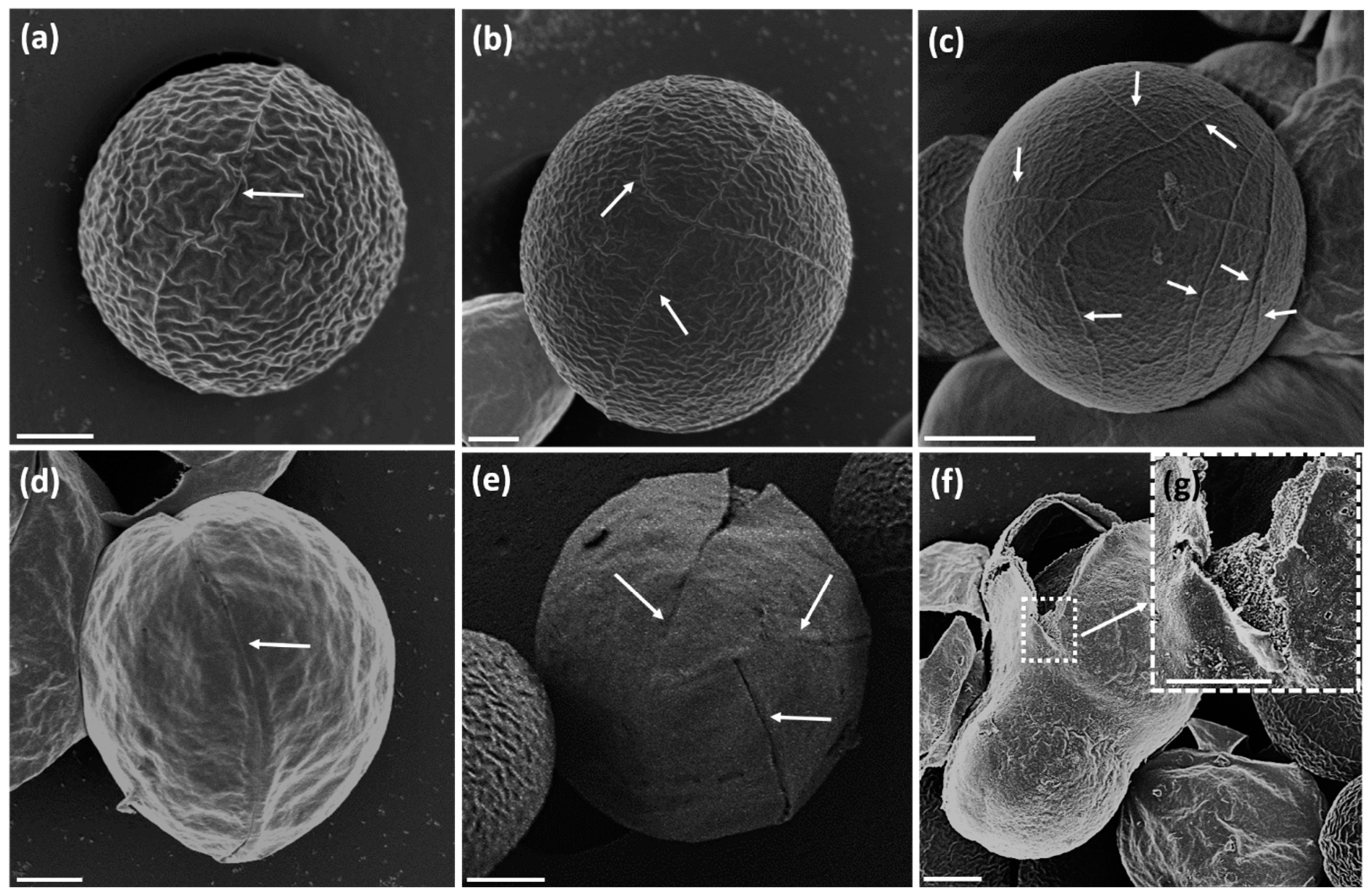 Energies 15 08725 g004 Energies 15 08725 g004