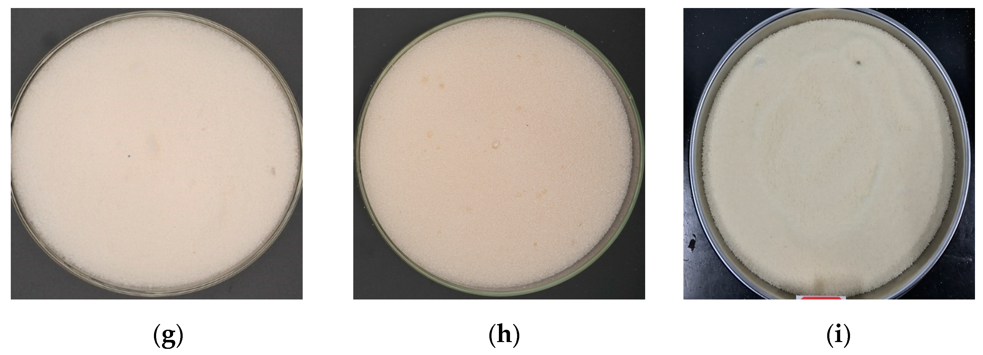 Energies 15 08737 g010b Energies 15 08737 g010b