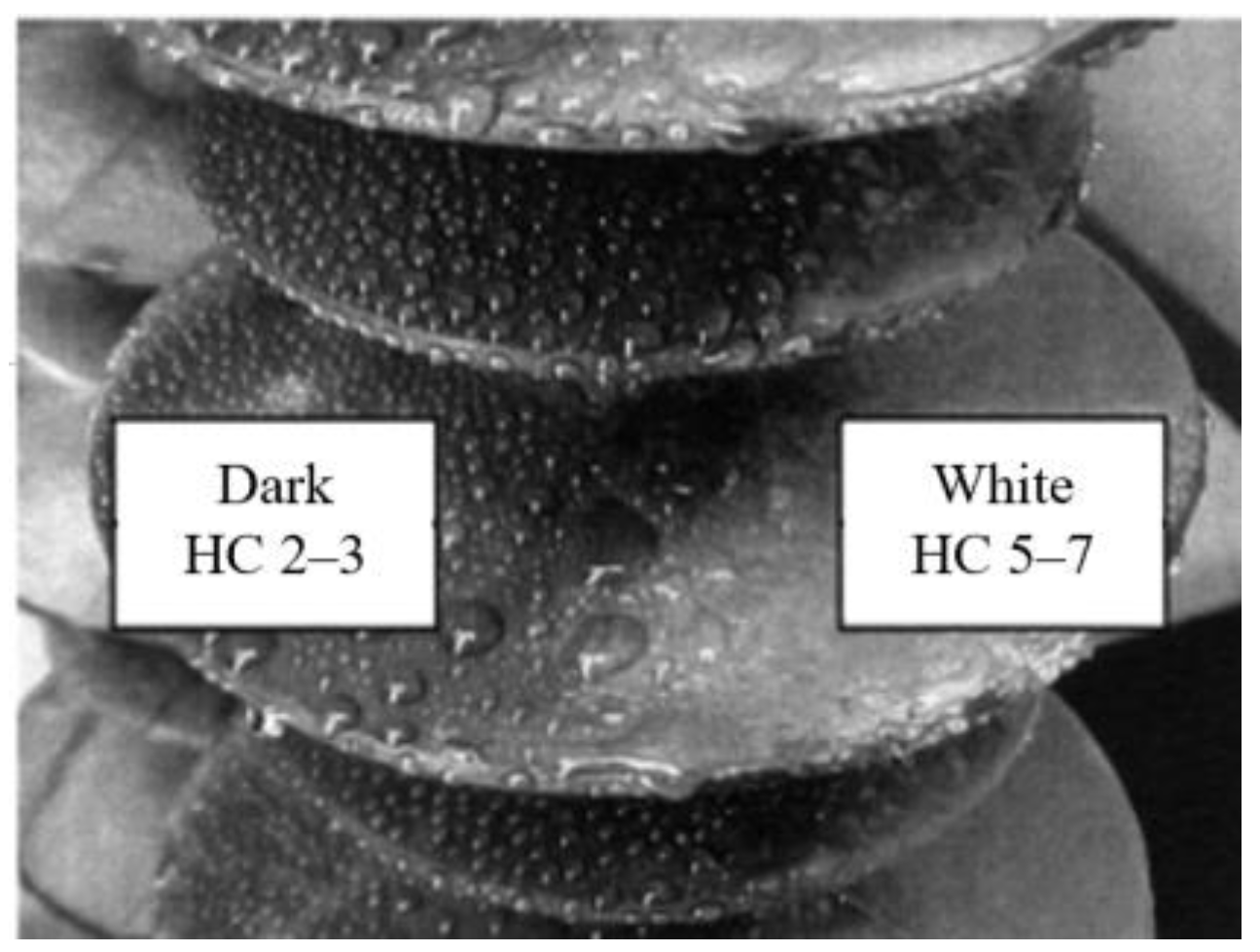 Energies 15 08809 g003