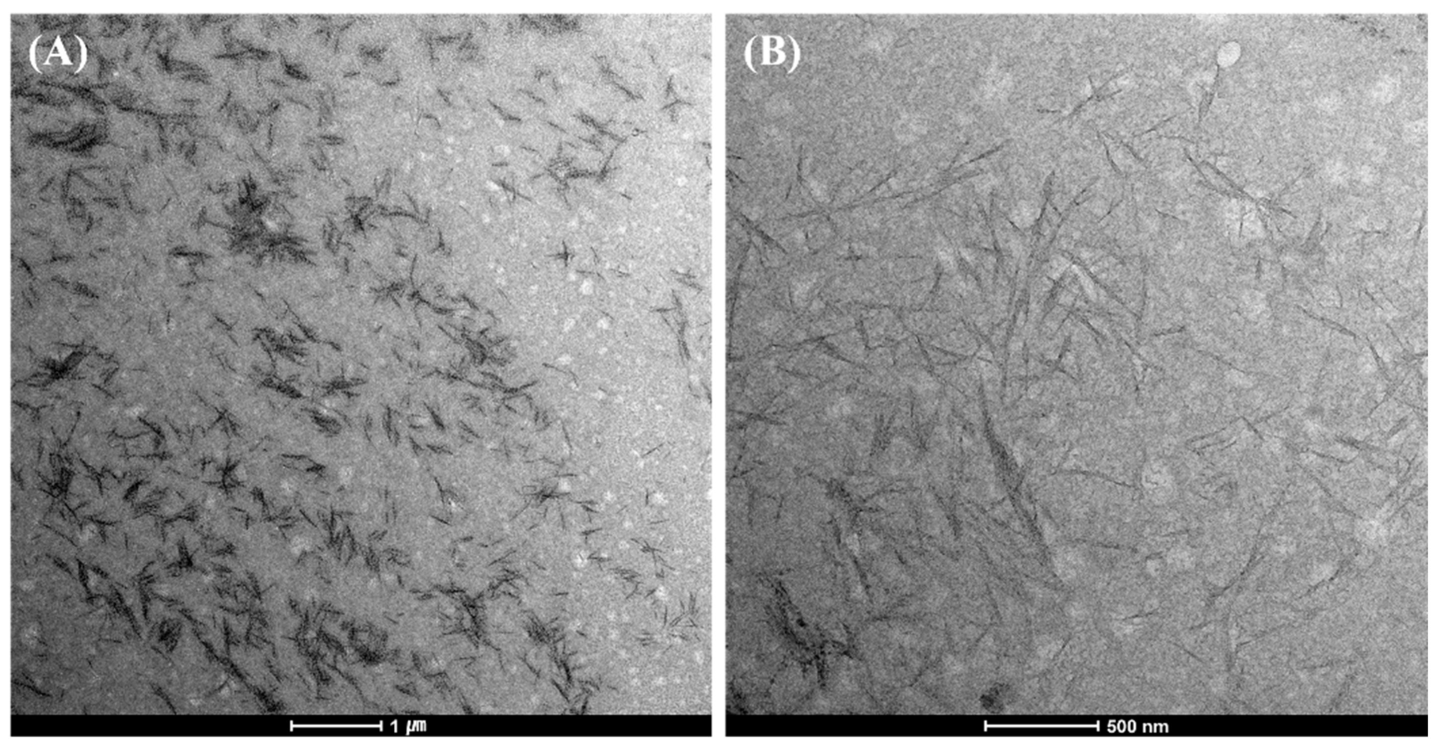 Energies 15 08822 g001 Energies 15 08822 g001