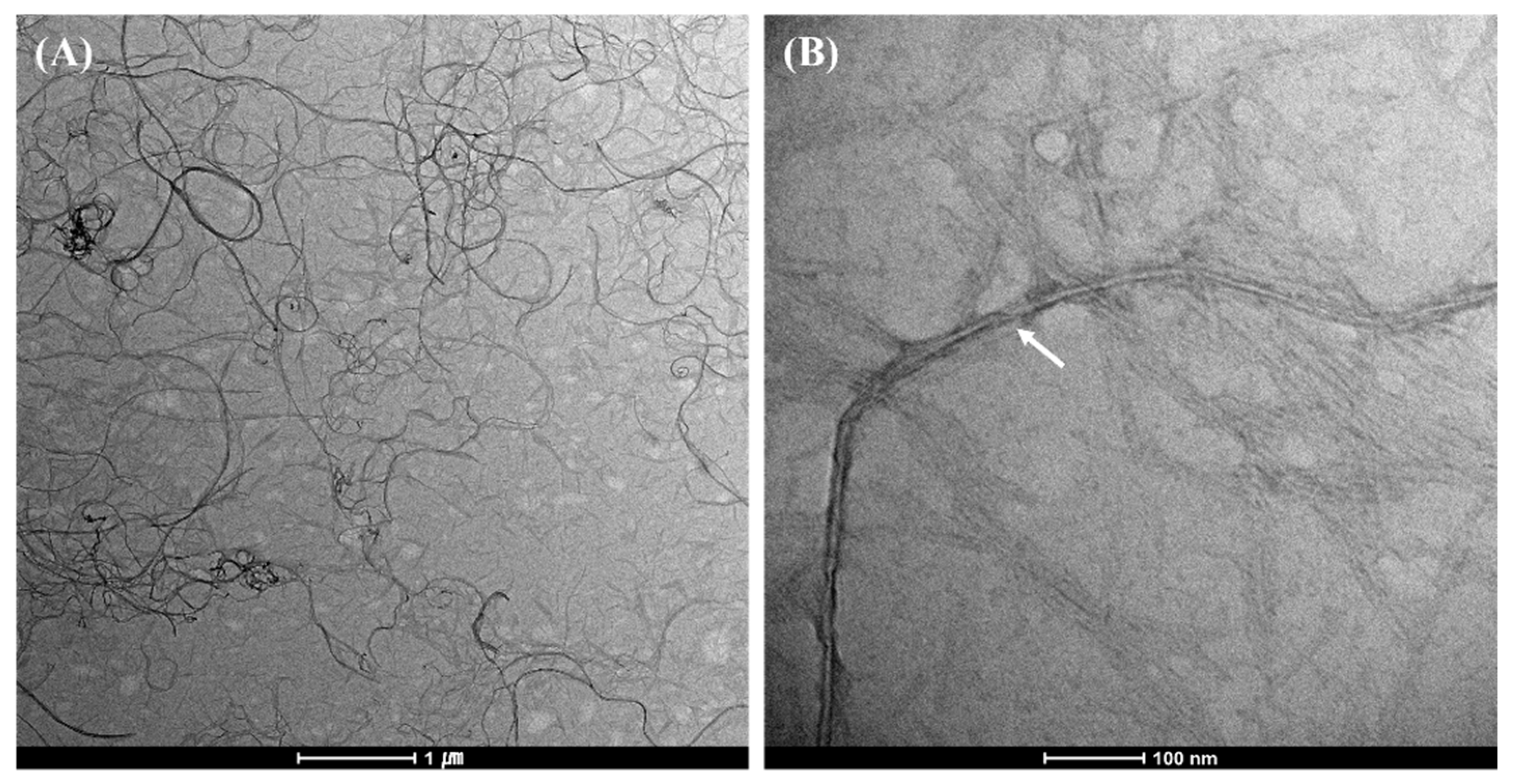 Energies 15 08822 g003 Energies 15 08822 g003