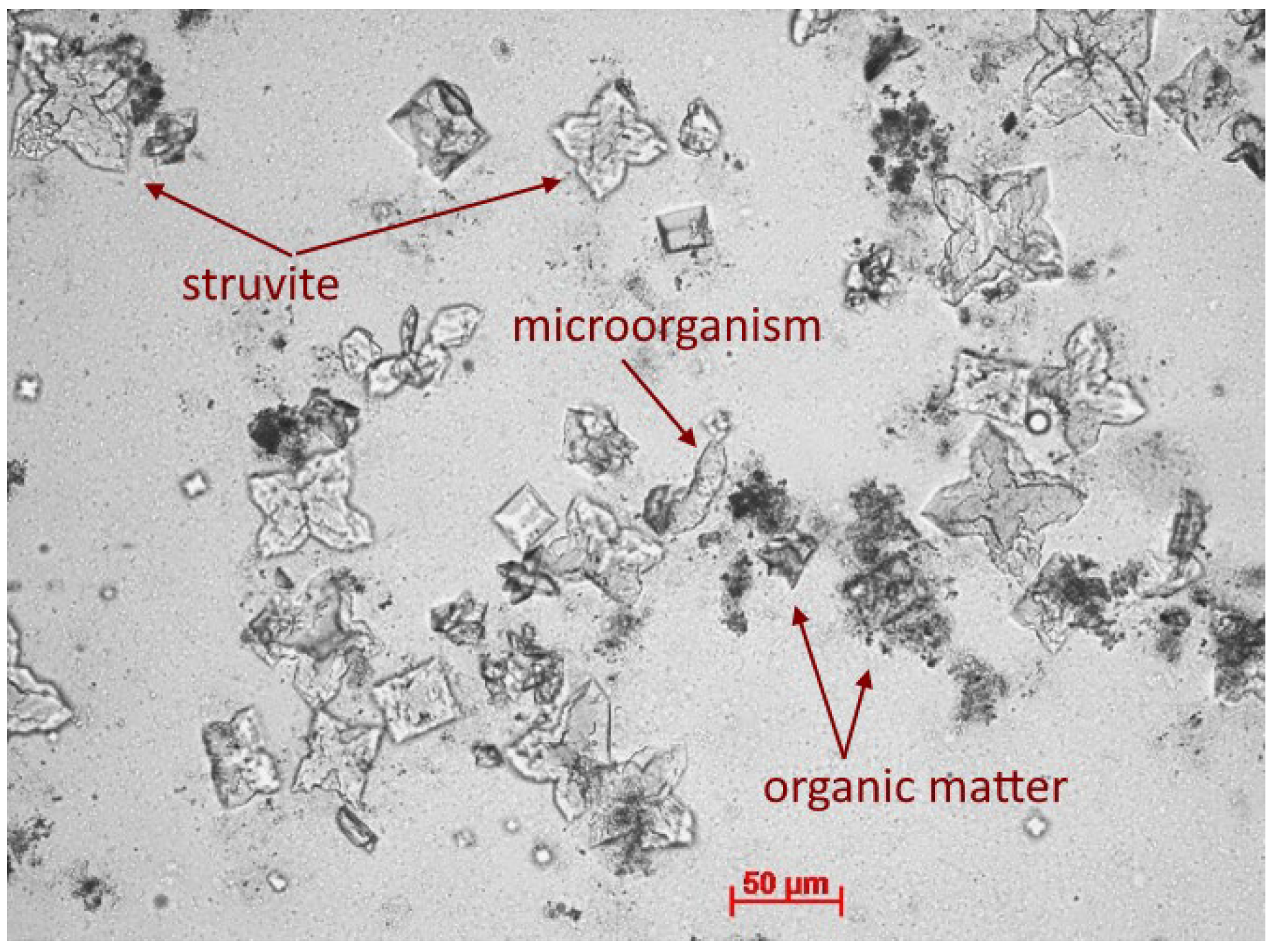 Energies 16 00047 g003 Energies 16 00047 g003