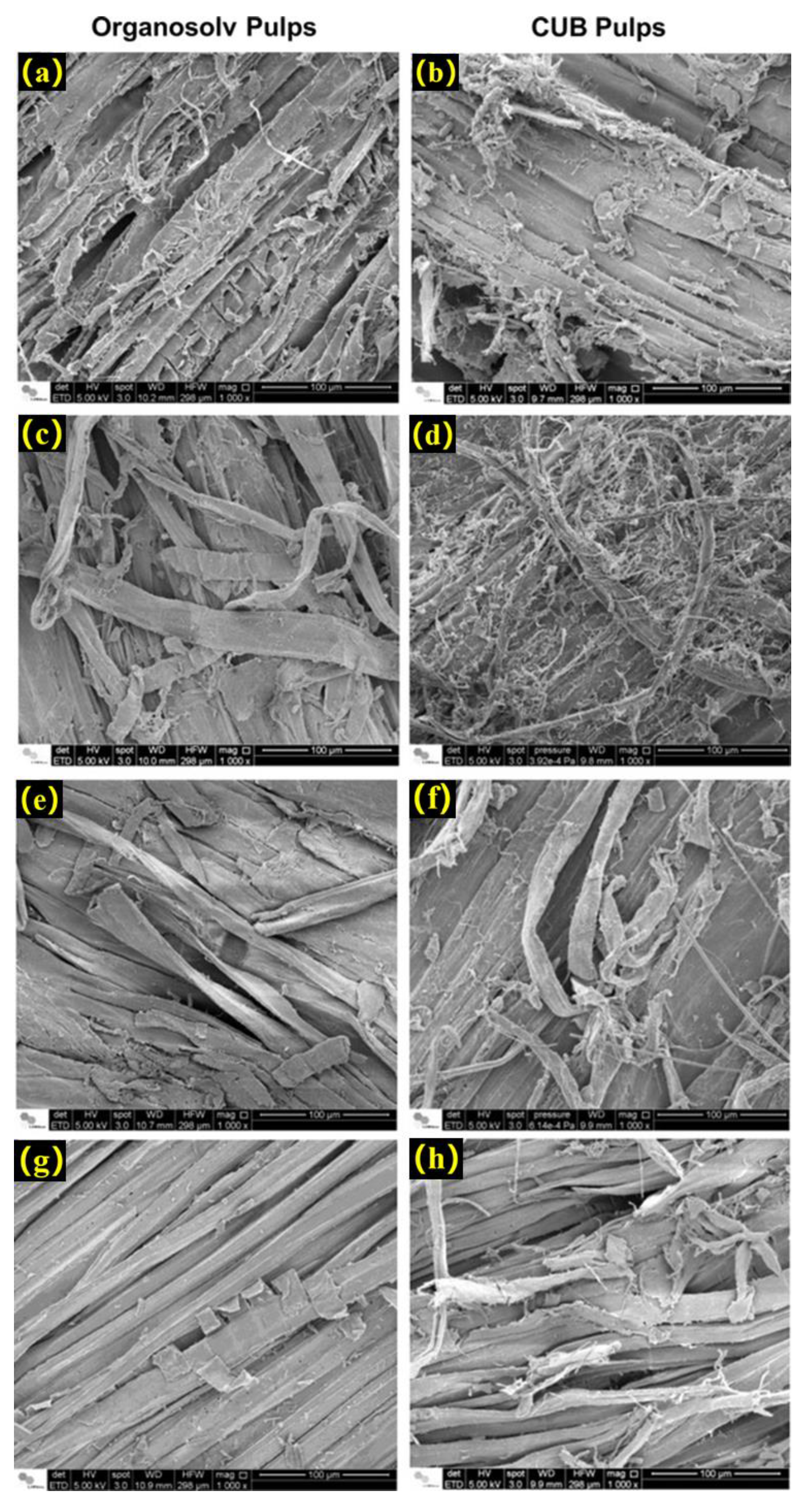 Energies 16 00125 g006
