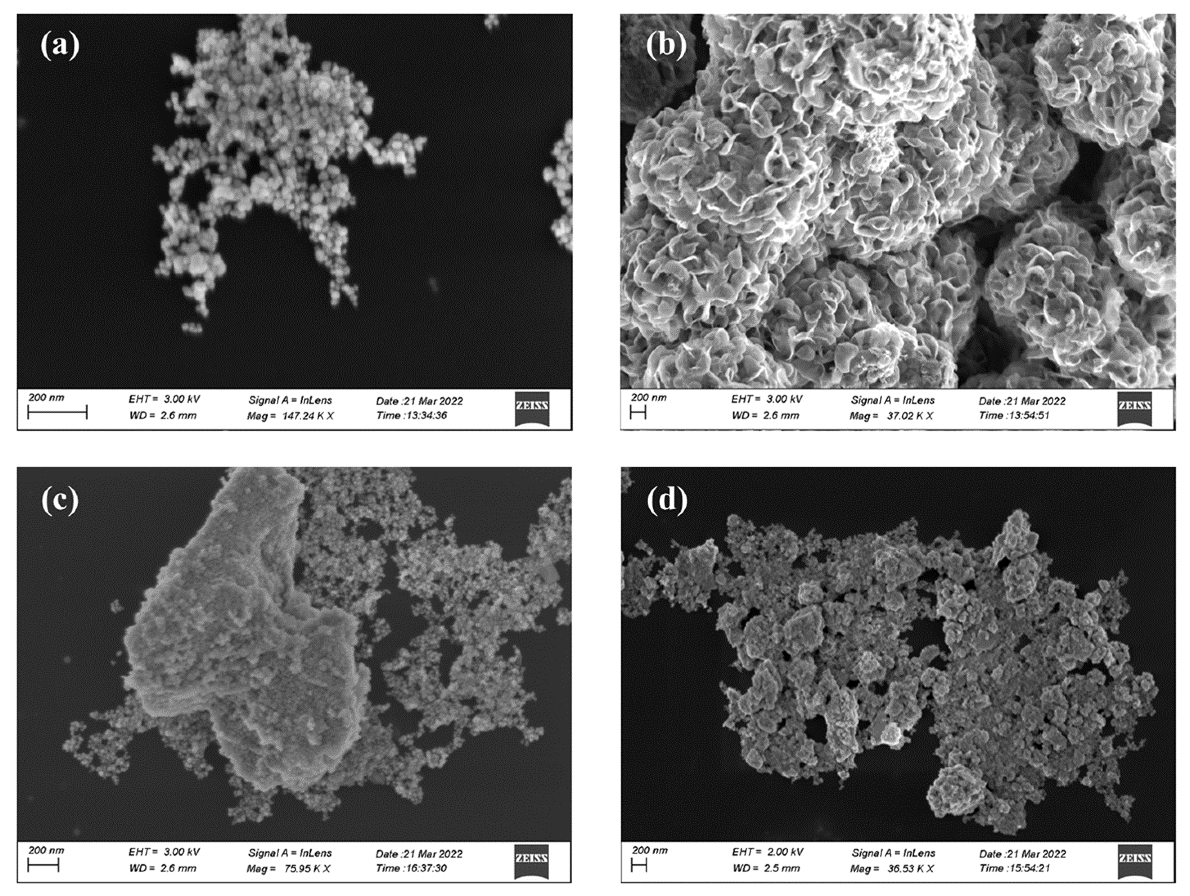 Energies 16 00335 g002