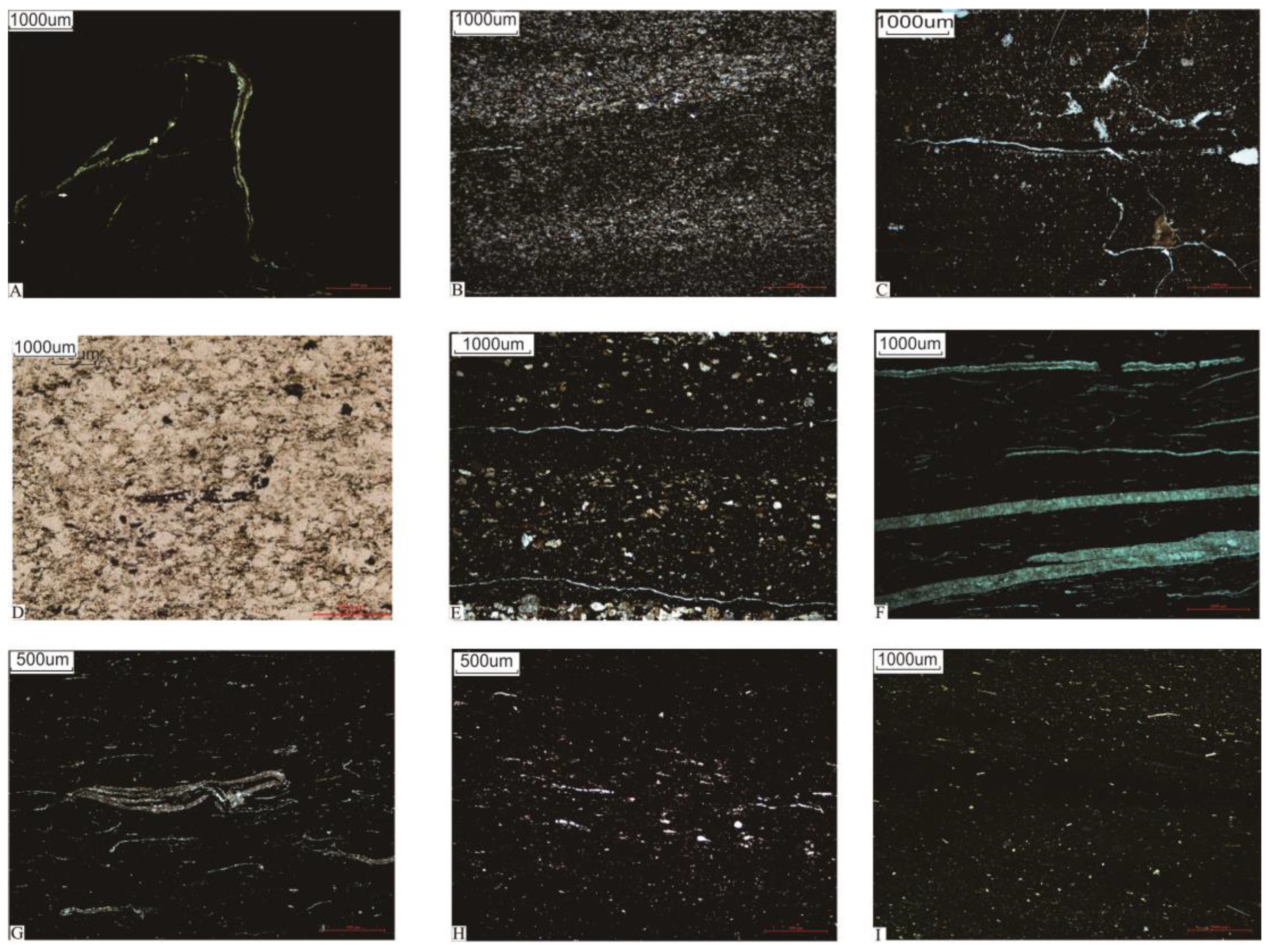 Energies 16 00349 g002 Energies 16 00349 g002