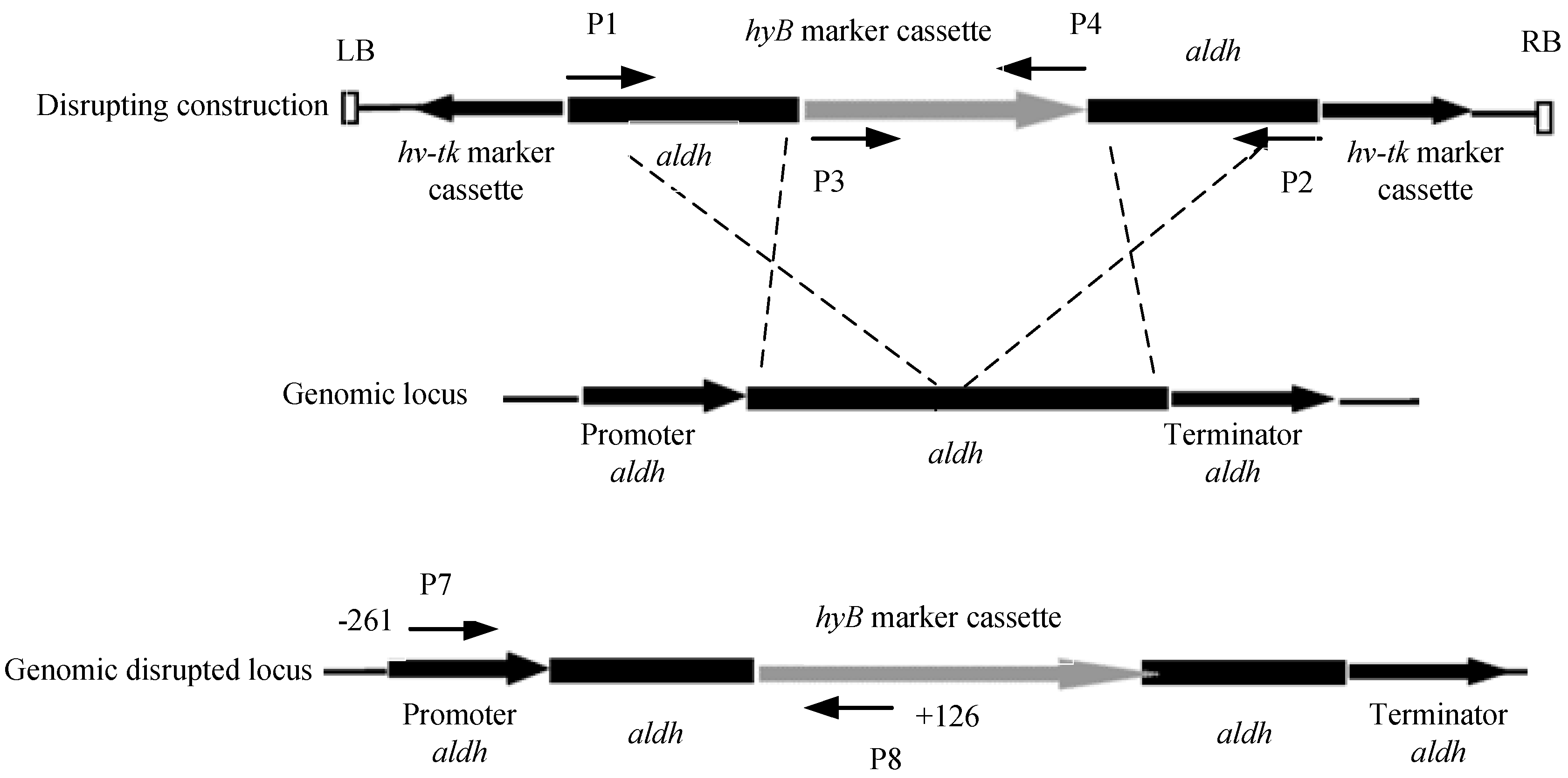 Energies 16 00427 g003