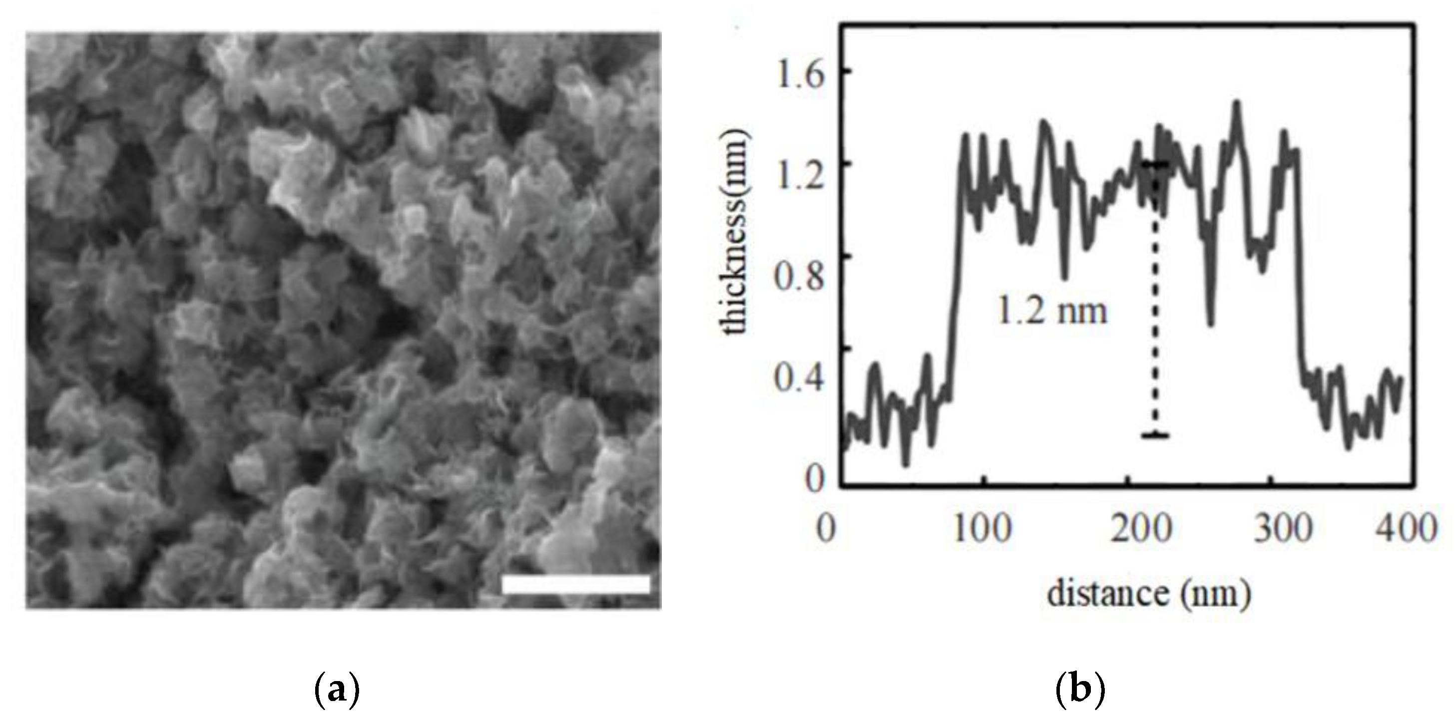 Energies 16 00454 g003