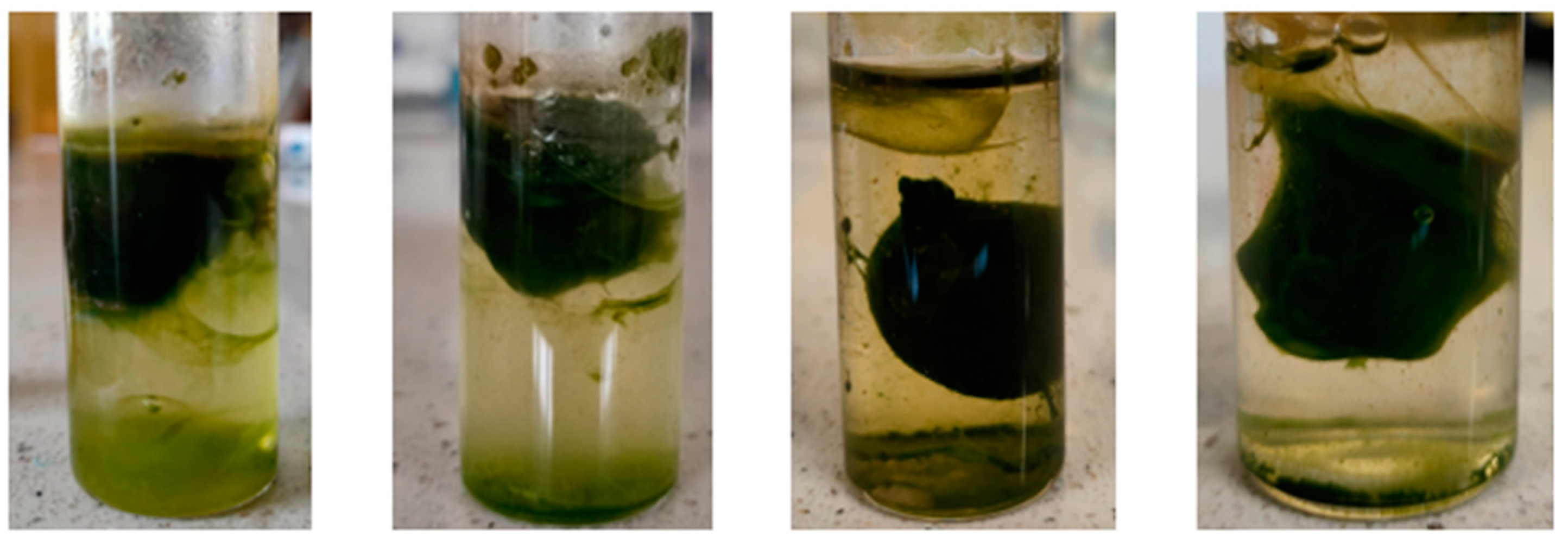 Energies 16 00523 g001