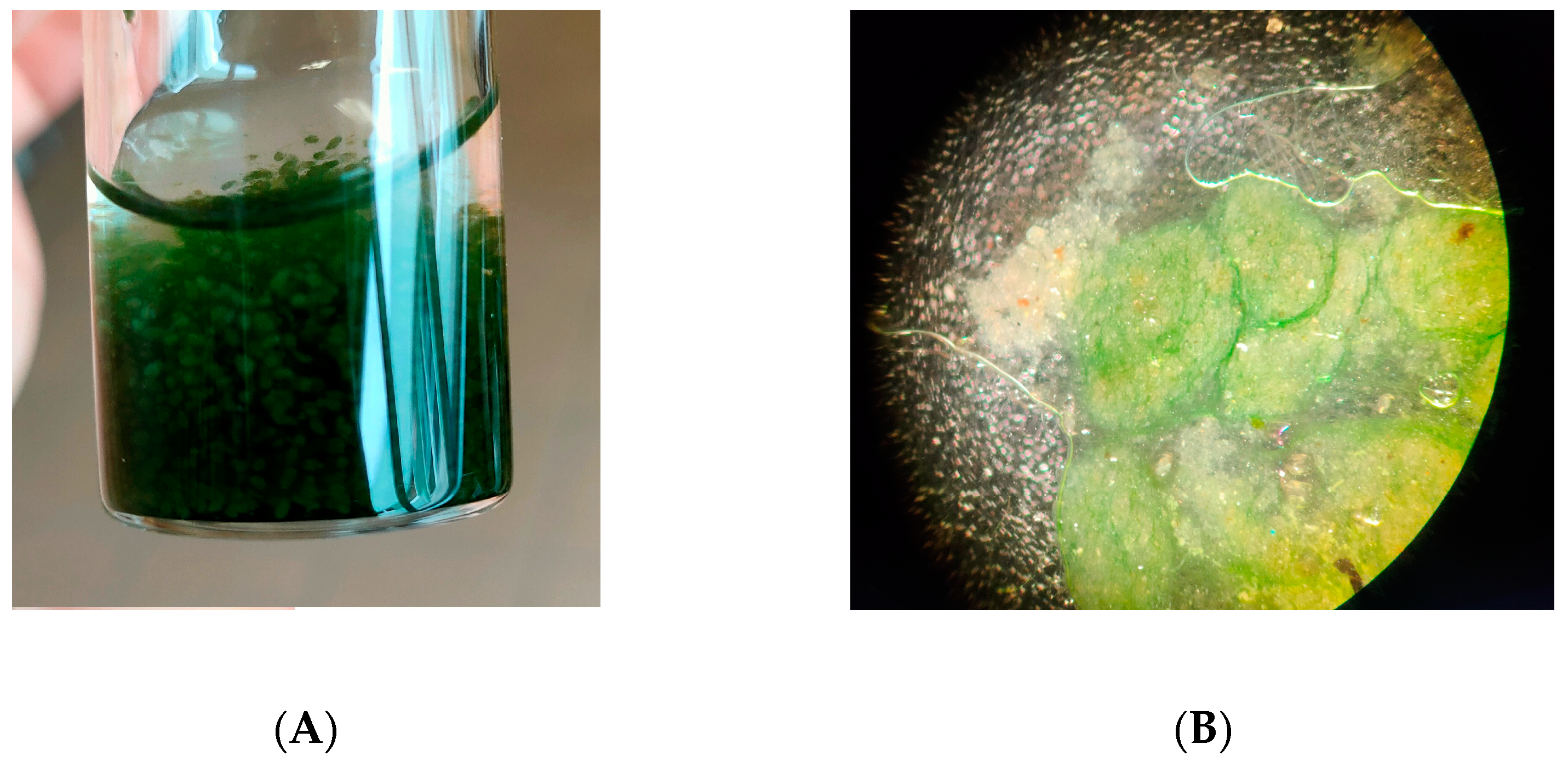 Energies 16 00523 g002