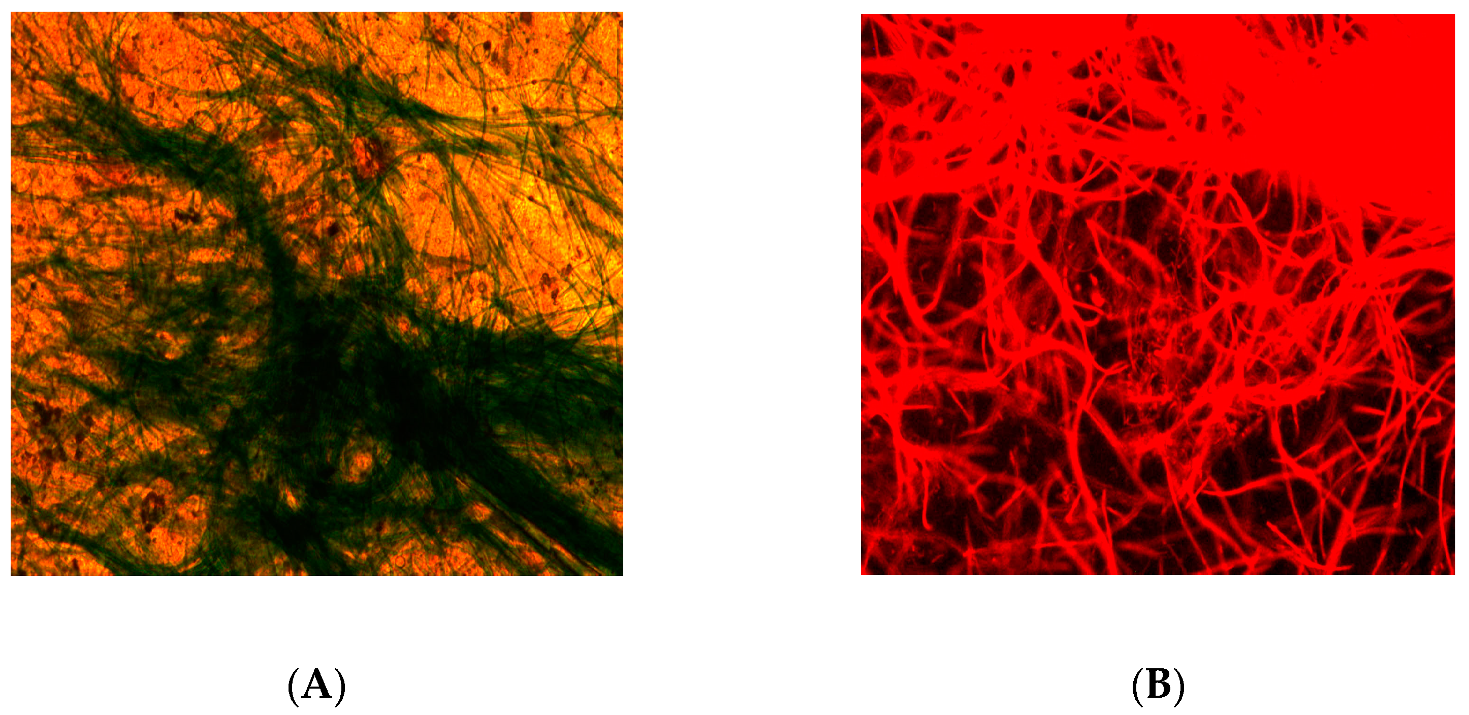 Energies 16 00523 g003