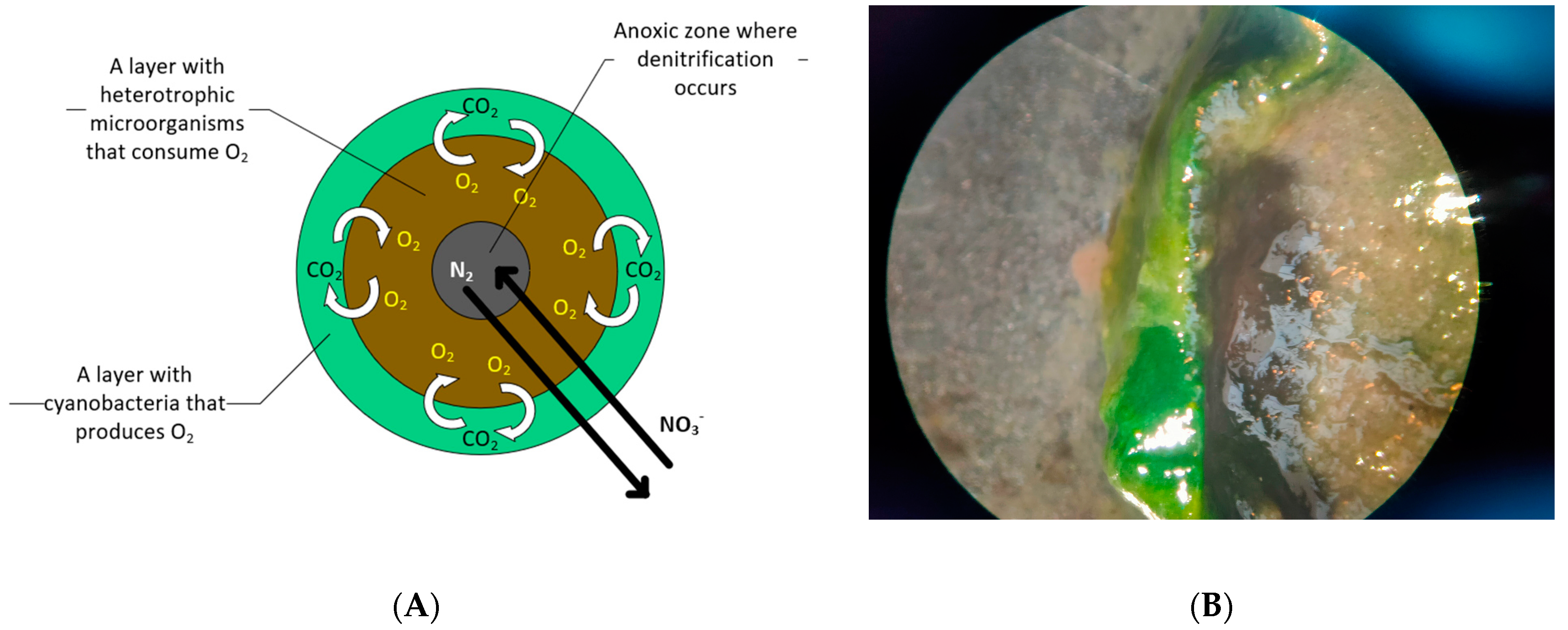 Energies 16 00523 g004