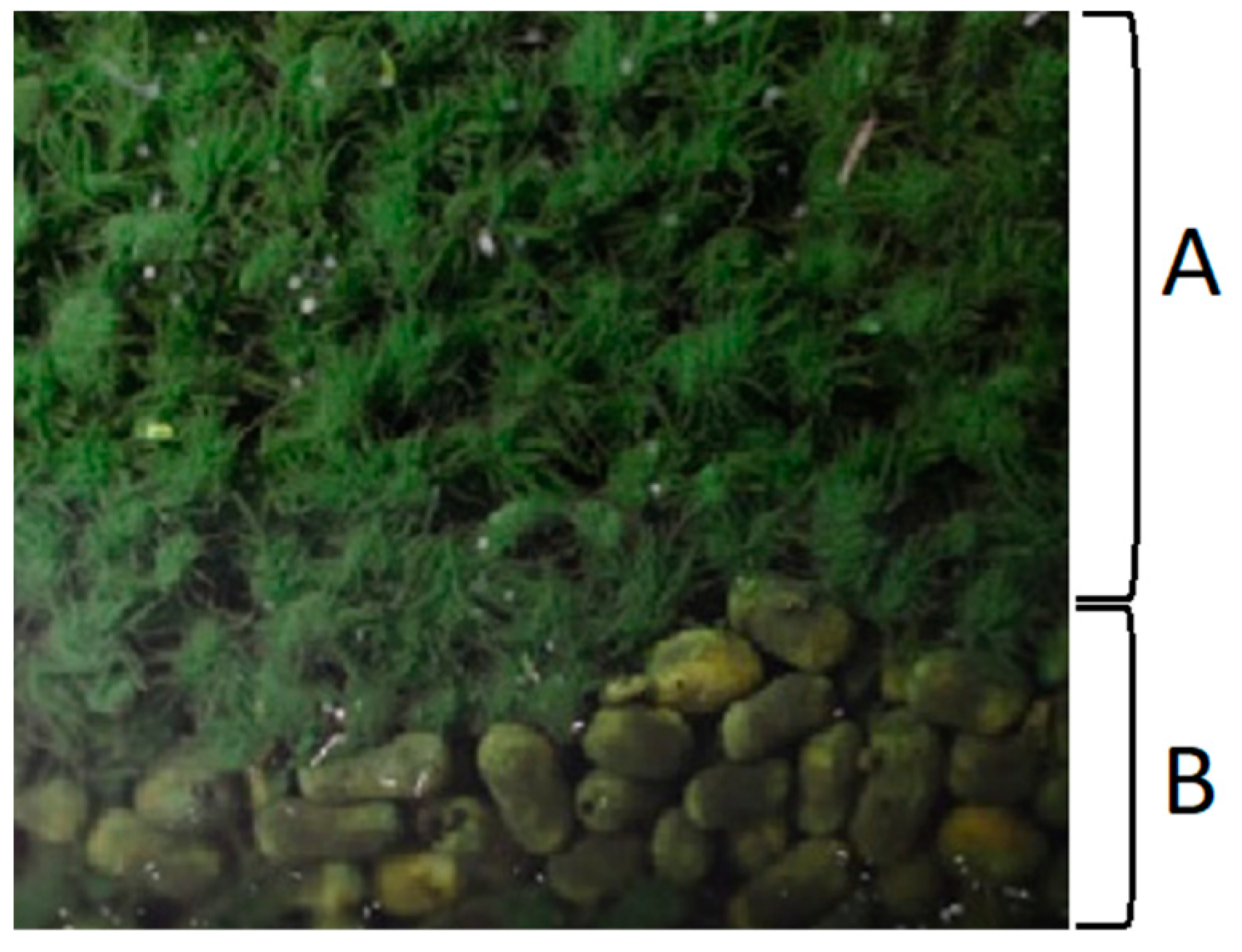 Energies 16 00523 g005