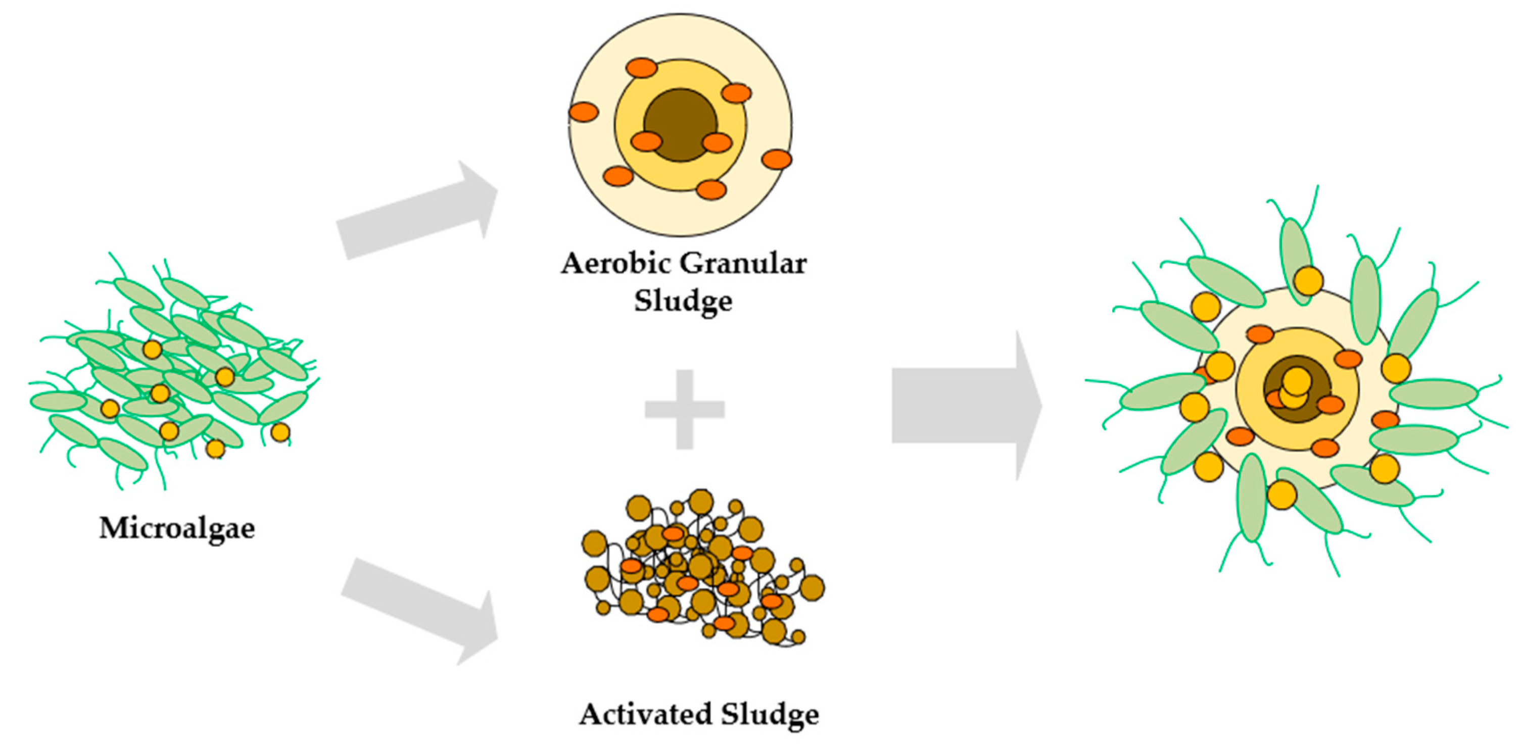 Energies 16 00523 g007