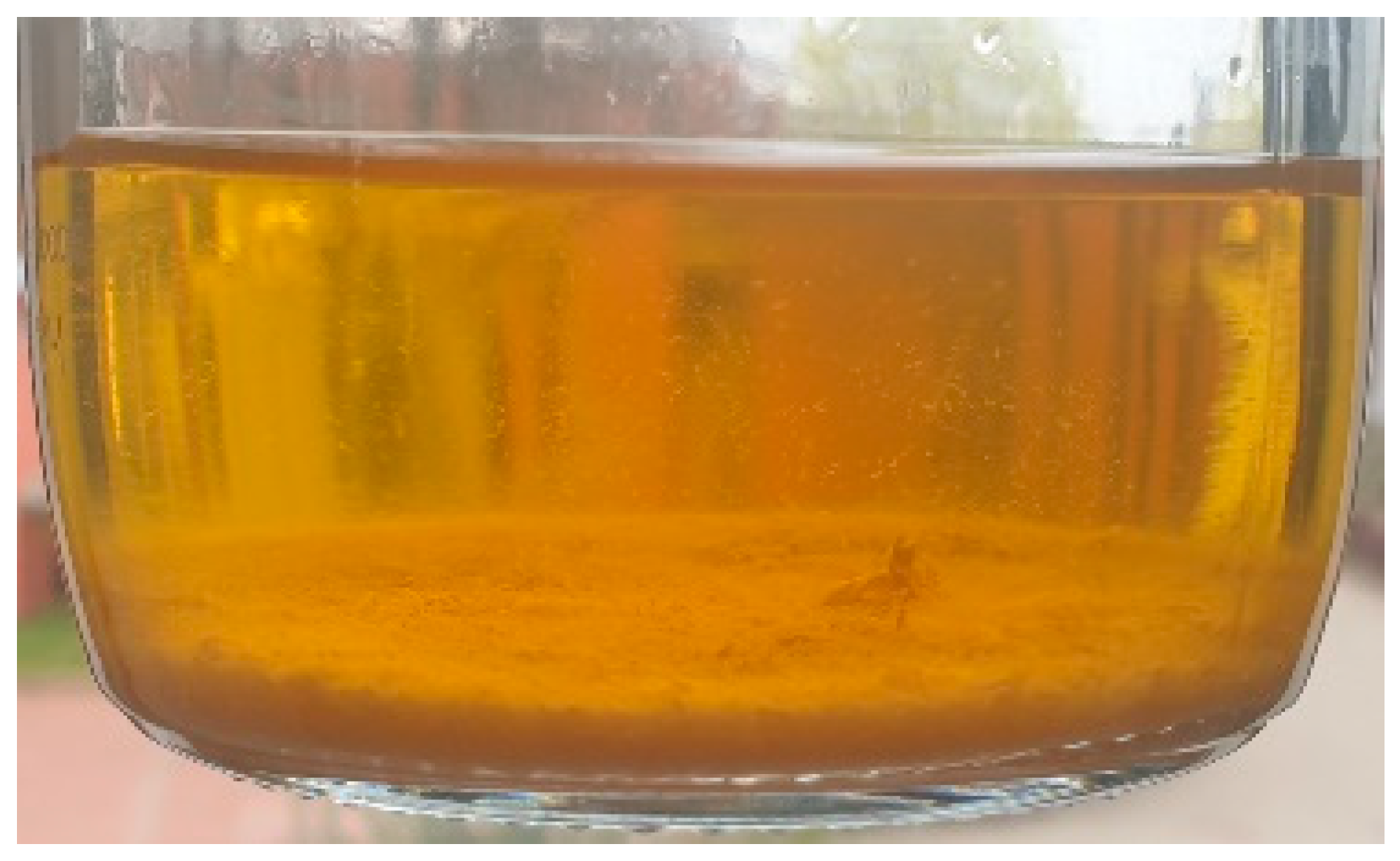 Energies 16 00564 g004