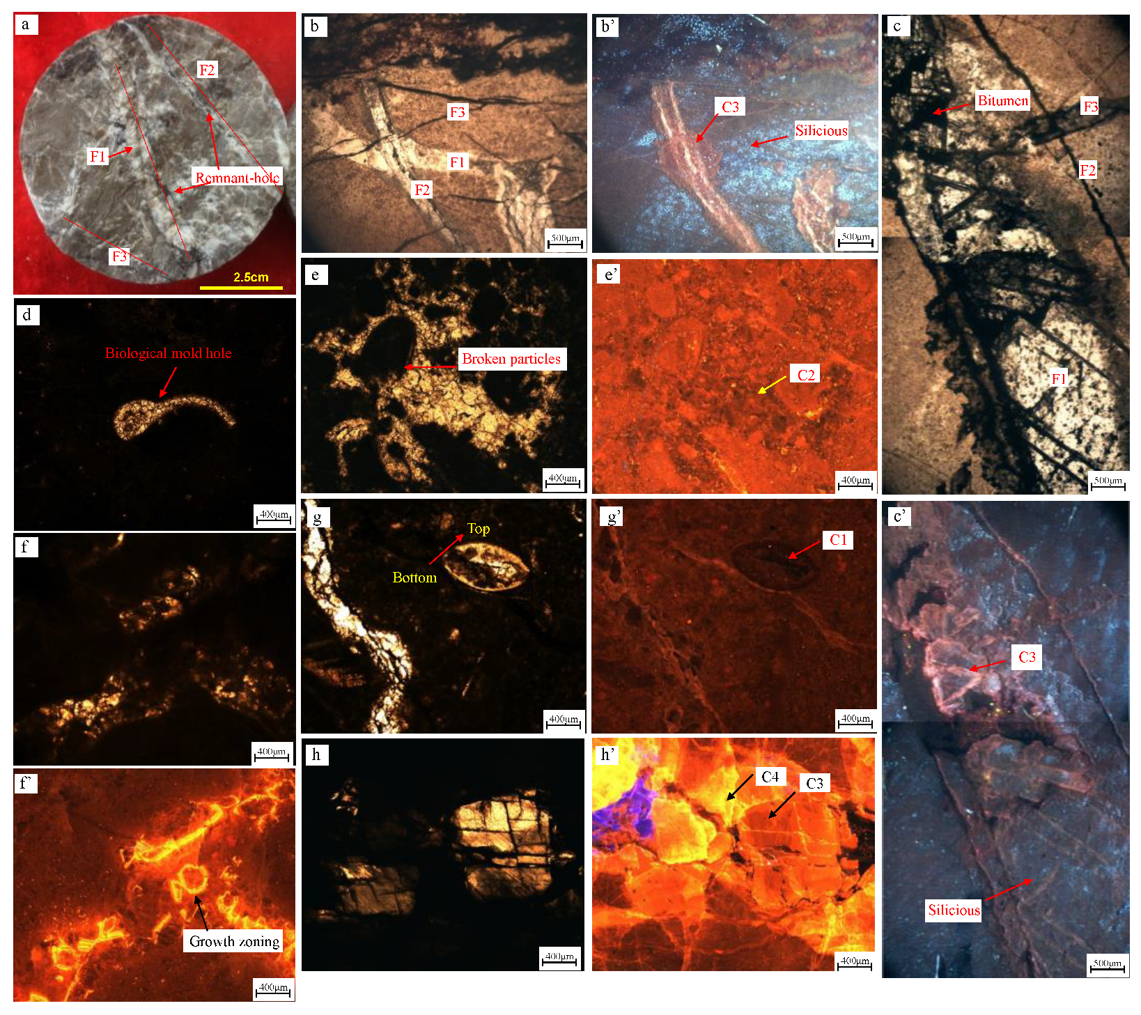 Energies 16 00579 g002