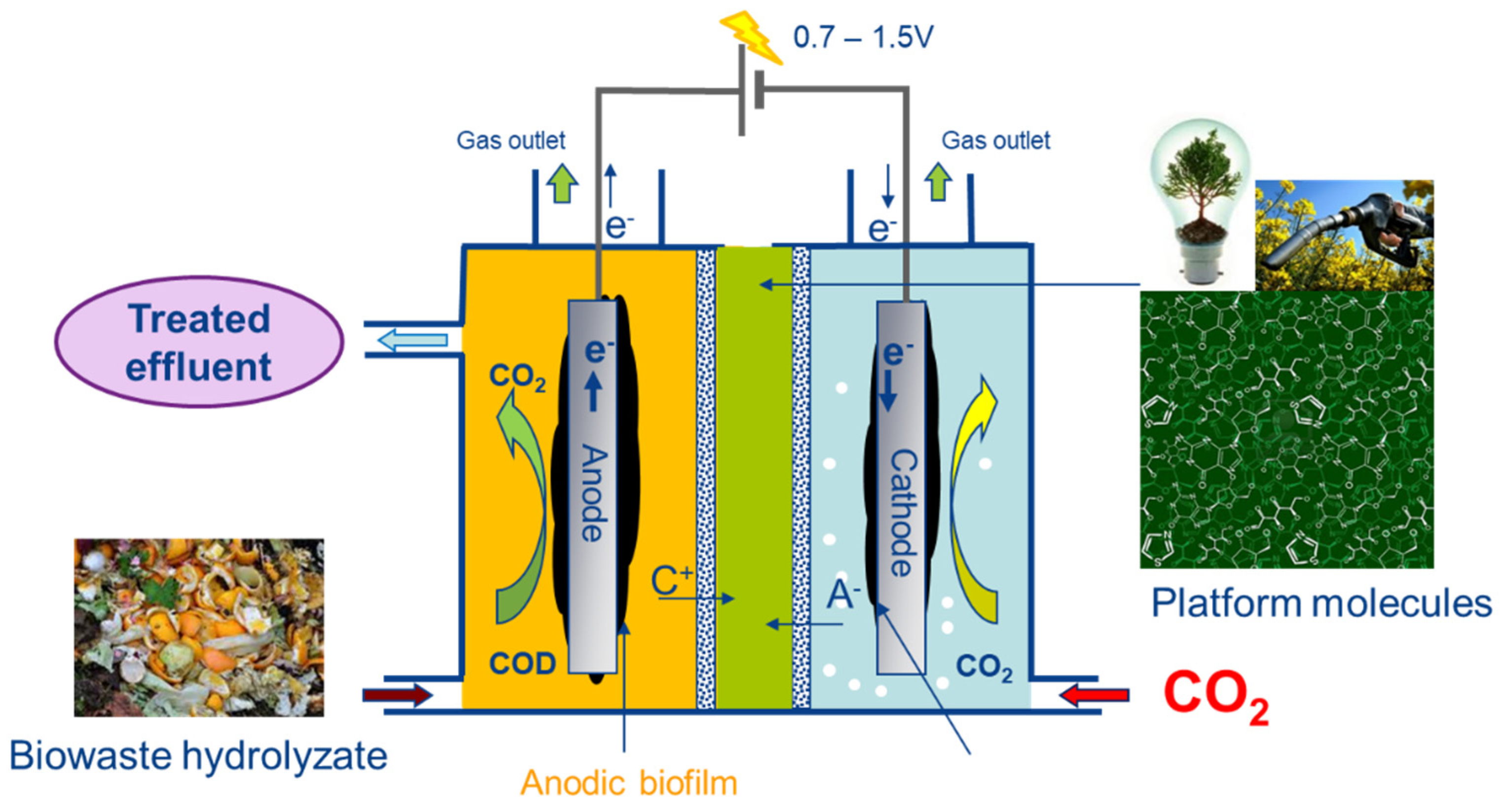 Energies 16 00591 g001