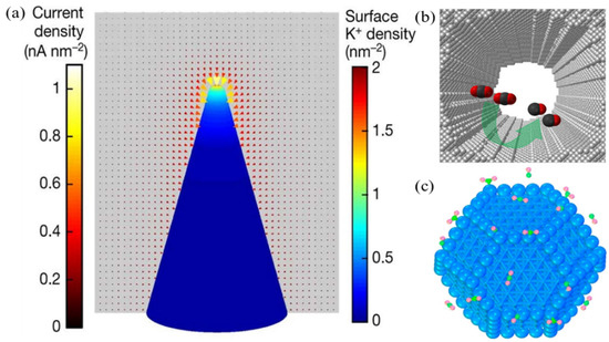 Energies 16 00616 g005
