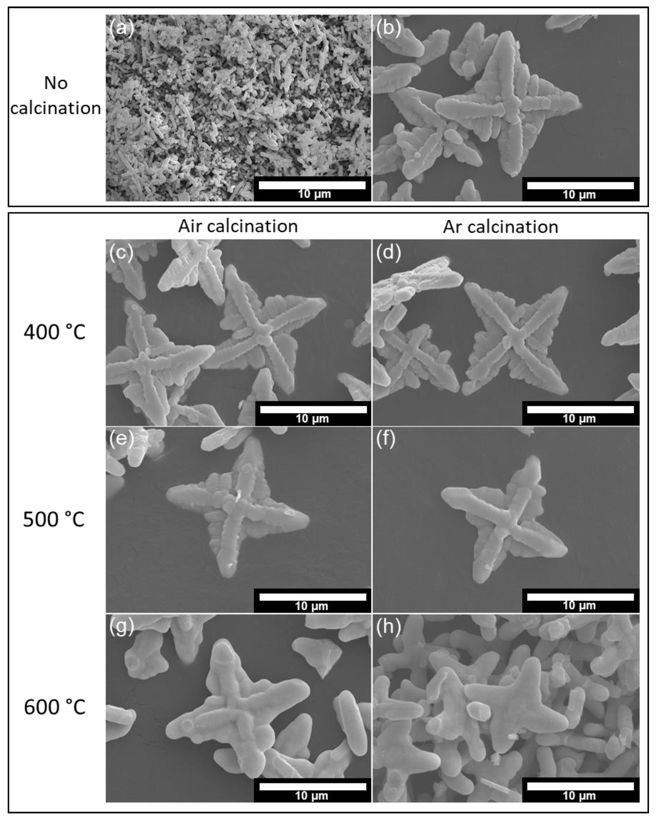 Energies 16 00629 g001