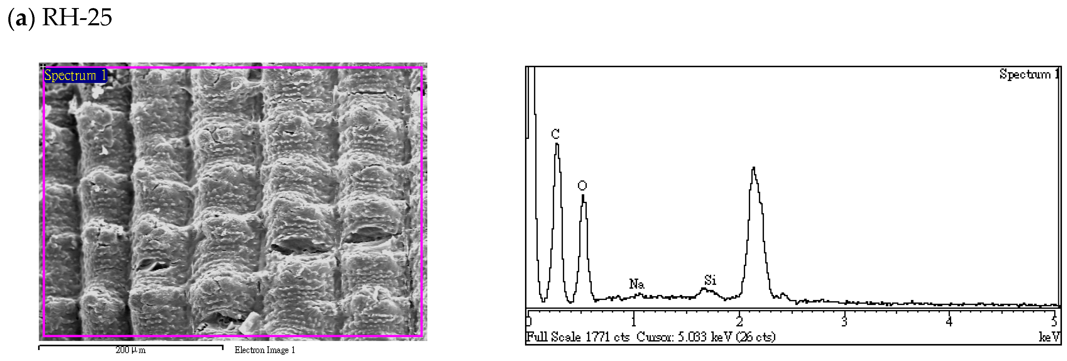 Energies 16 00679 g005a