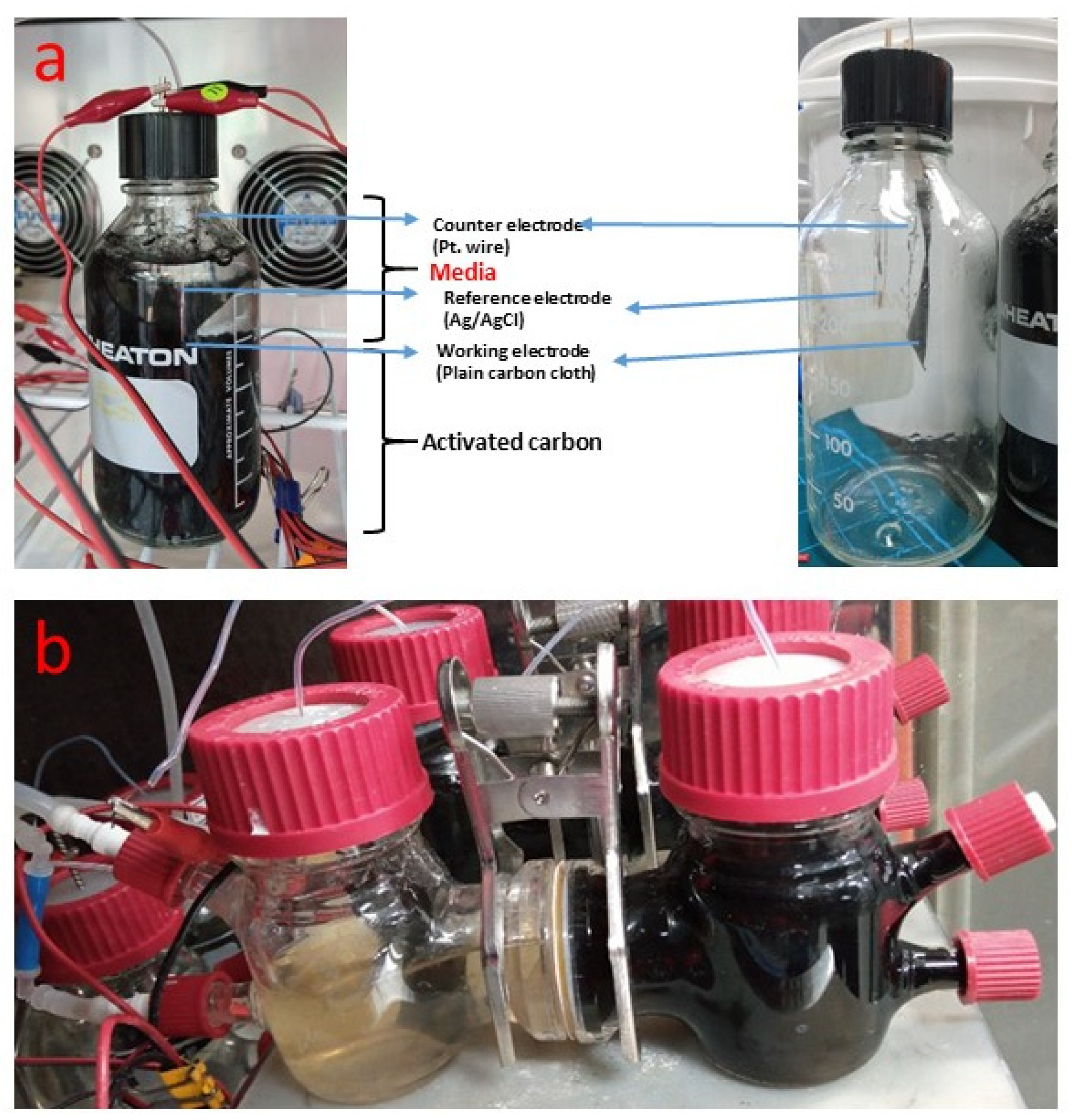 Energies 16 00709 g001