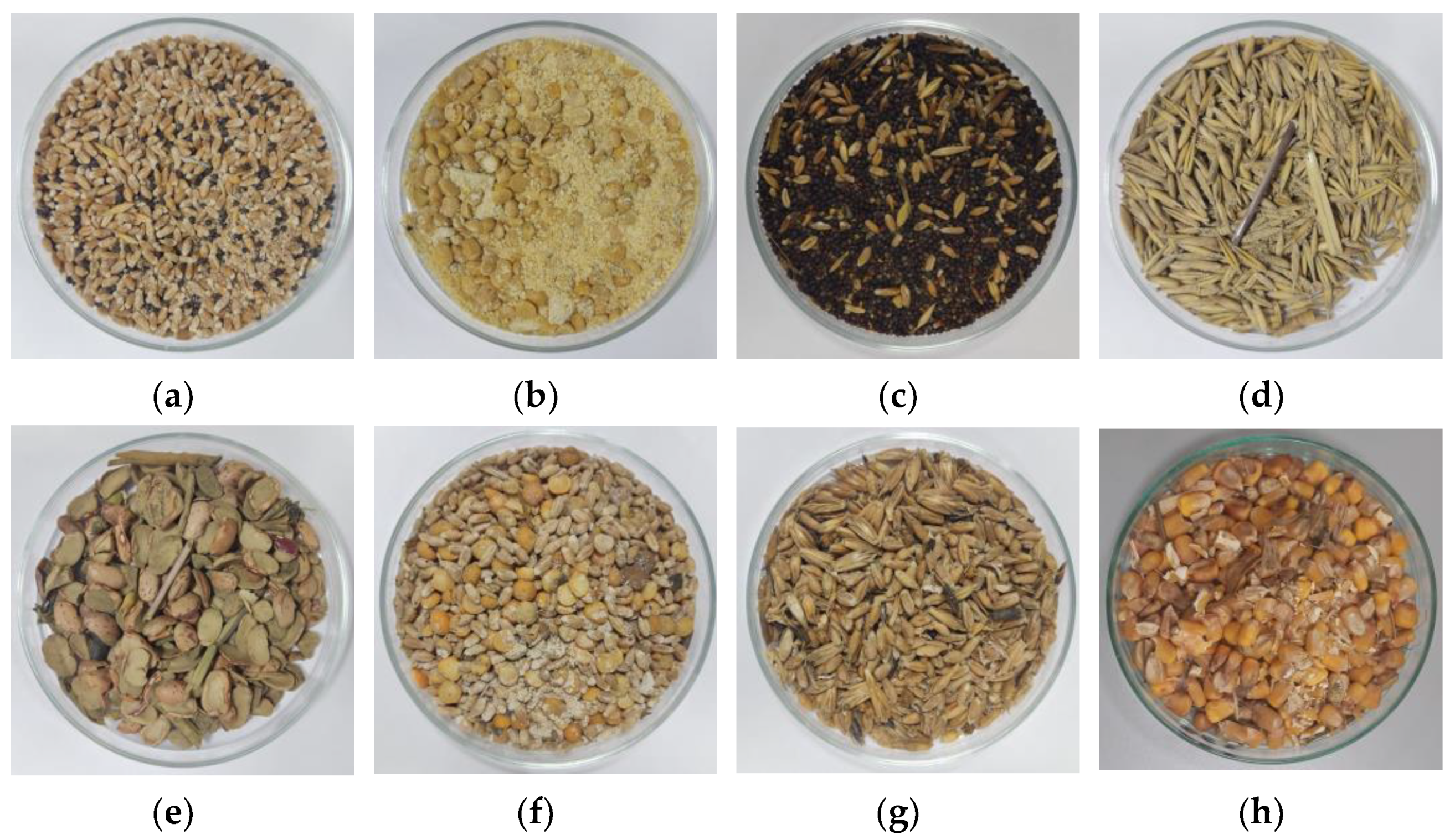 Energies 16 00738 g001 Energies 16 00738 g001