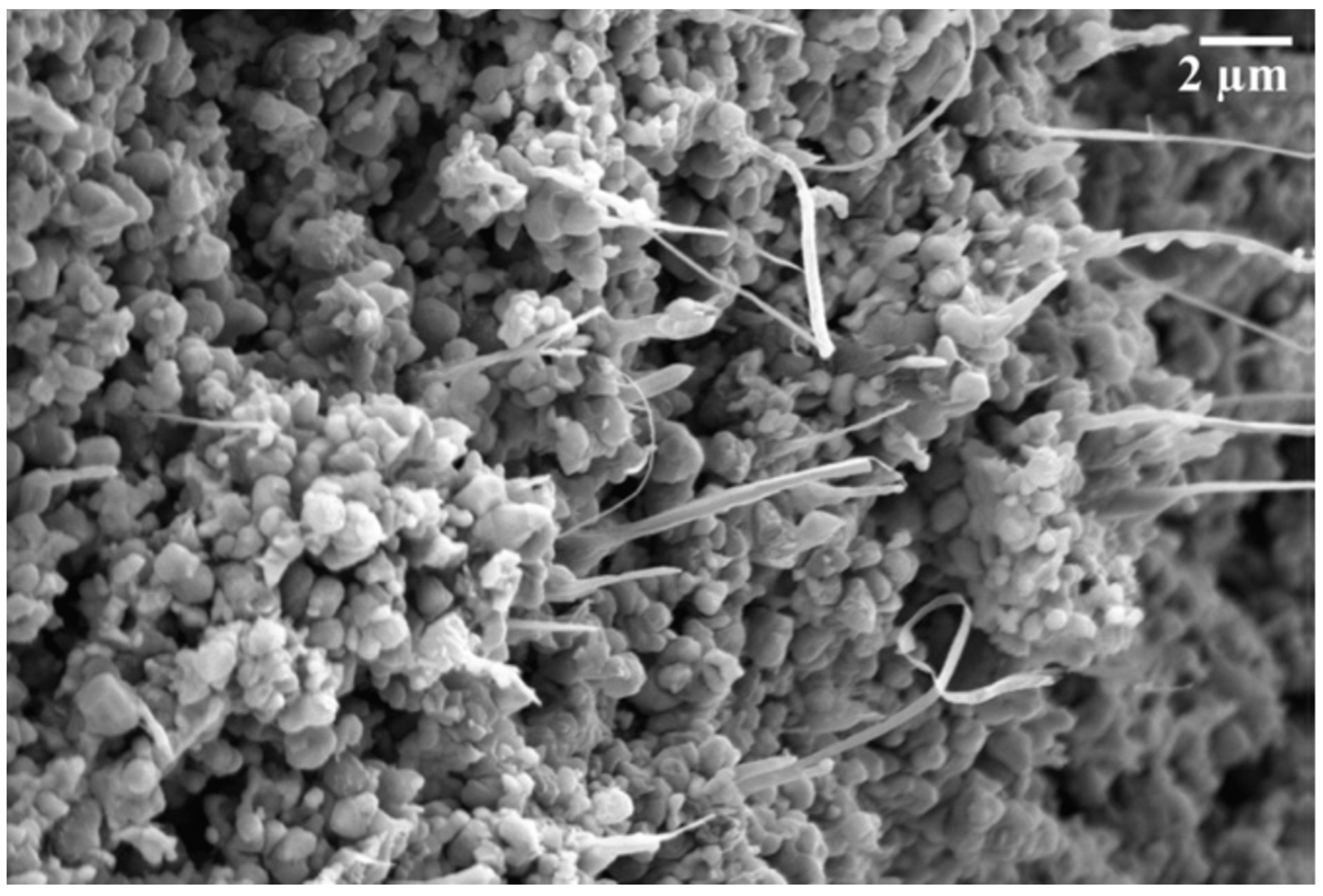 Energies 16 00788 g006