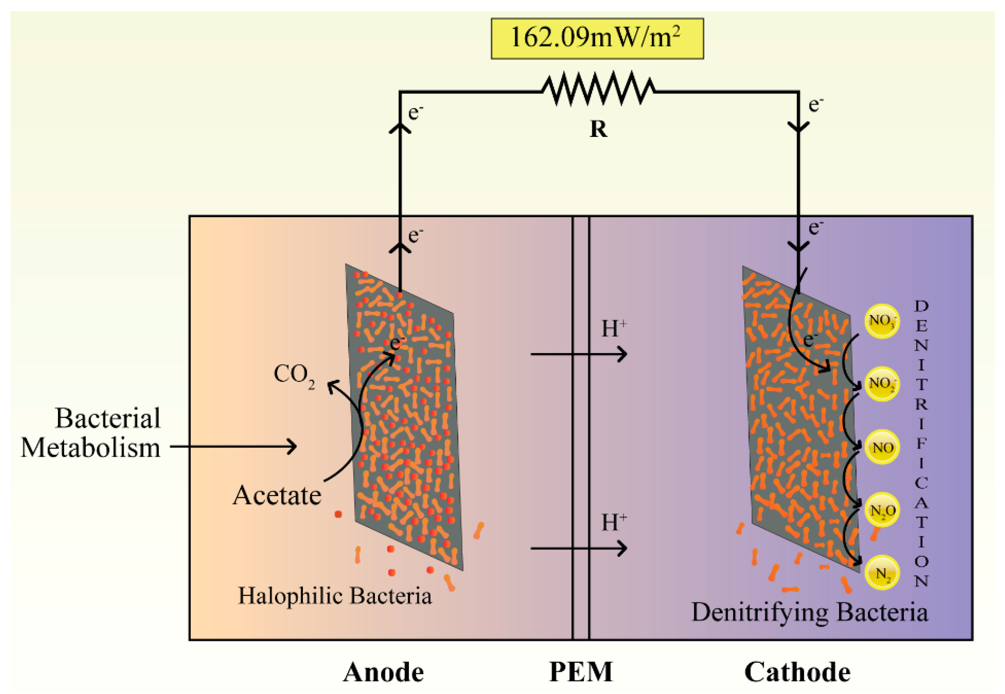 Energies 16 00877 g001