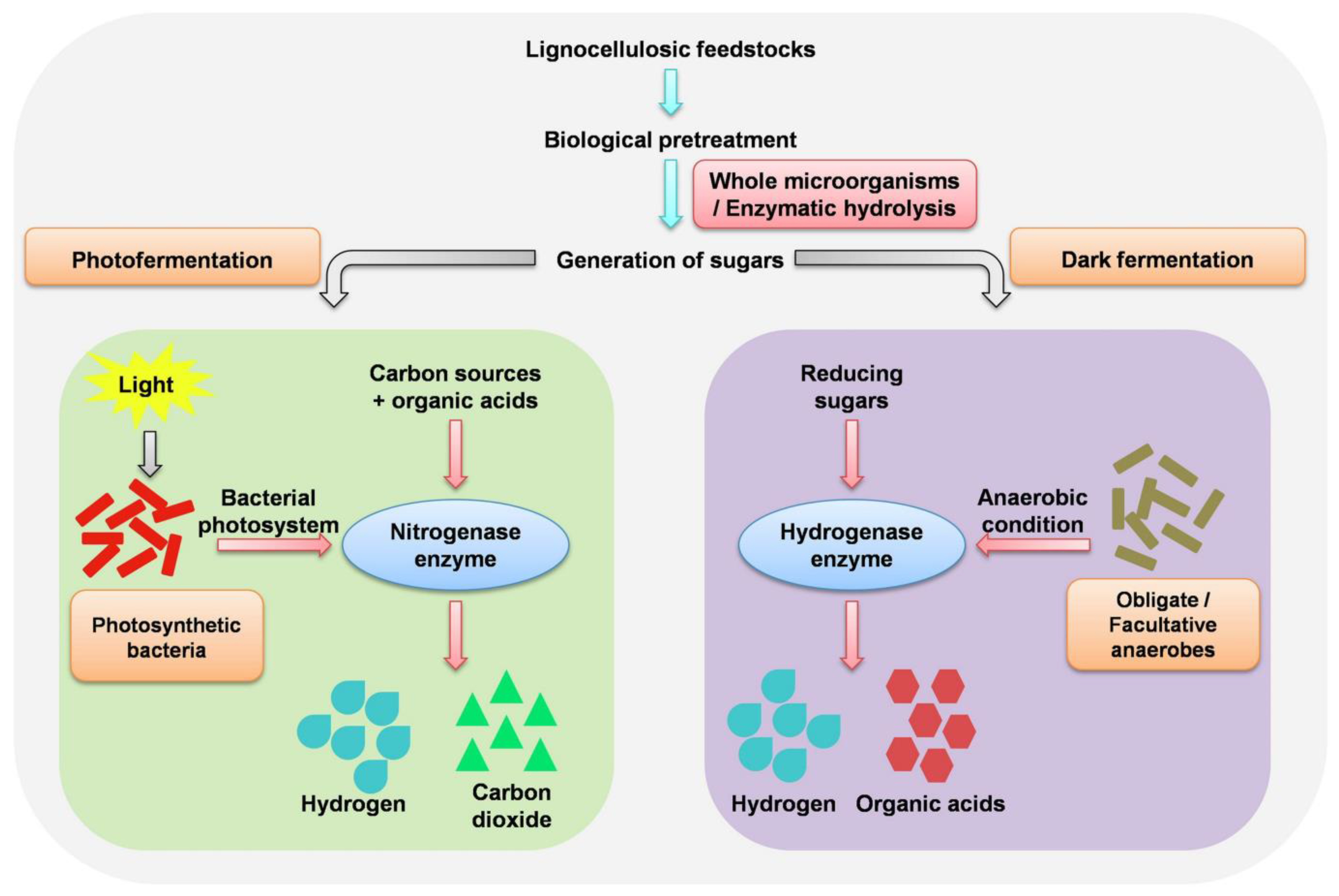 Energies 16 00949 g003