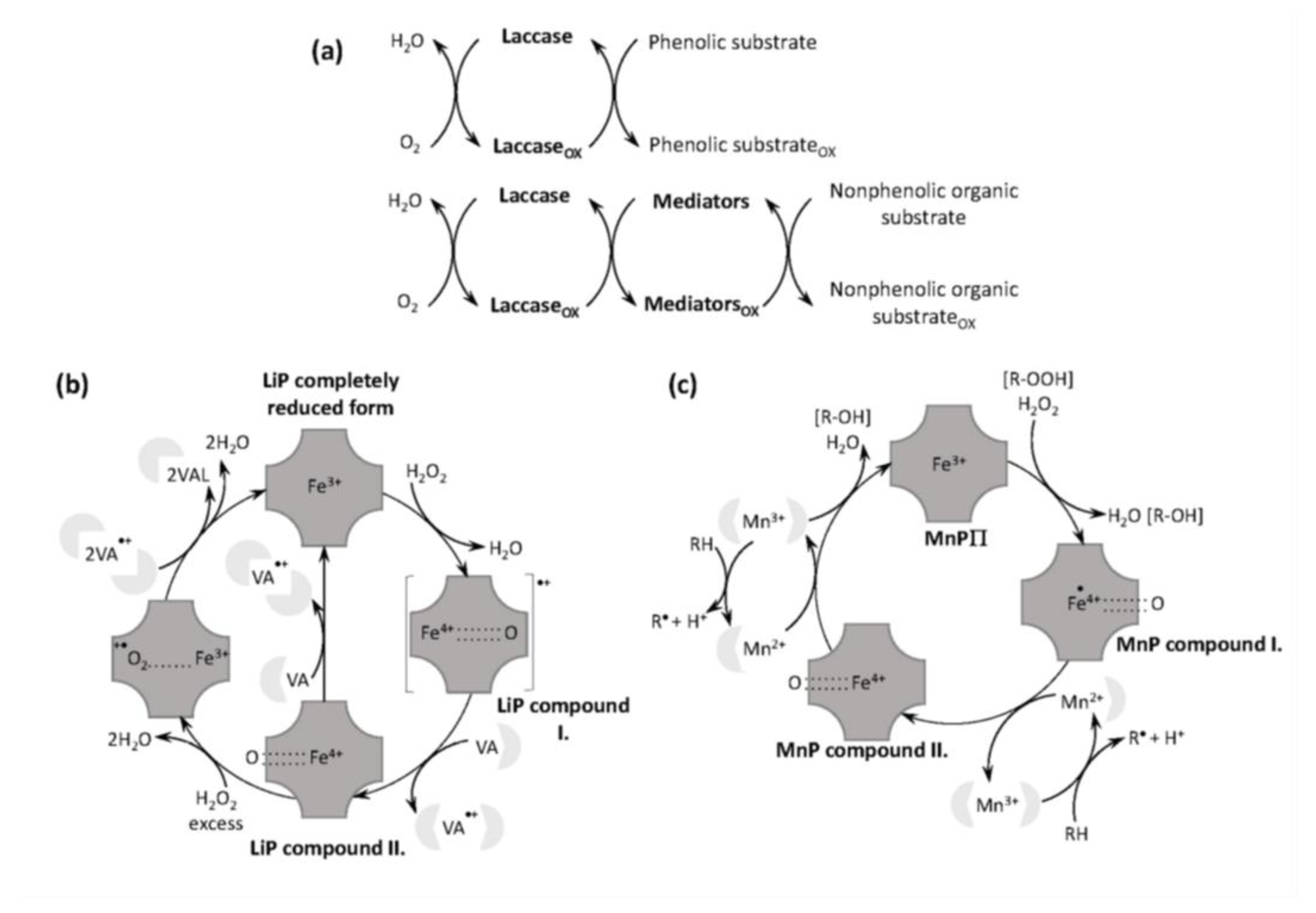 Energies 16 00949 g007