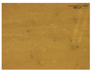 Energies 16 00989 i012 Energies 16 00989 i012