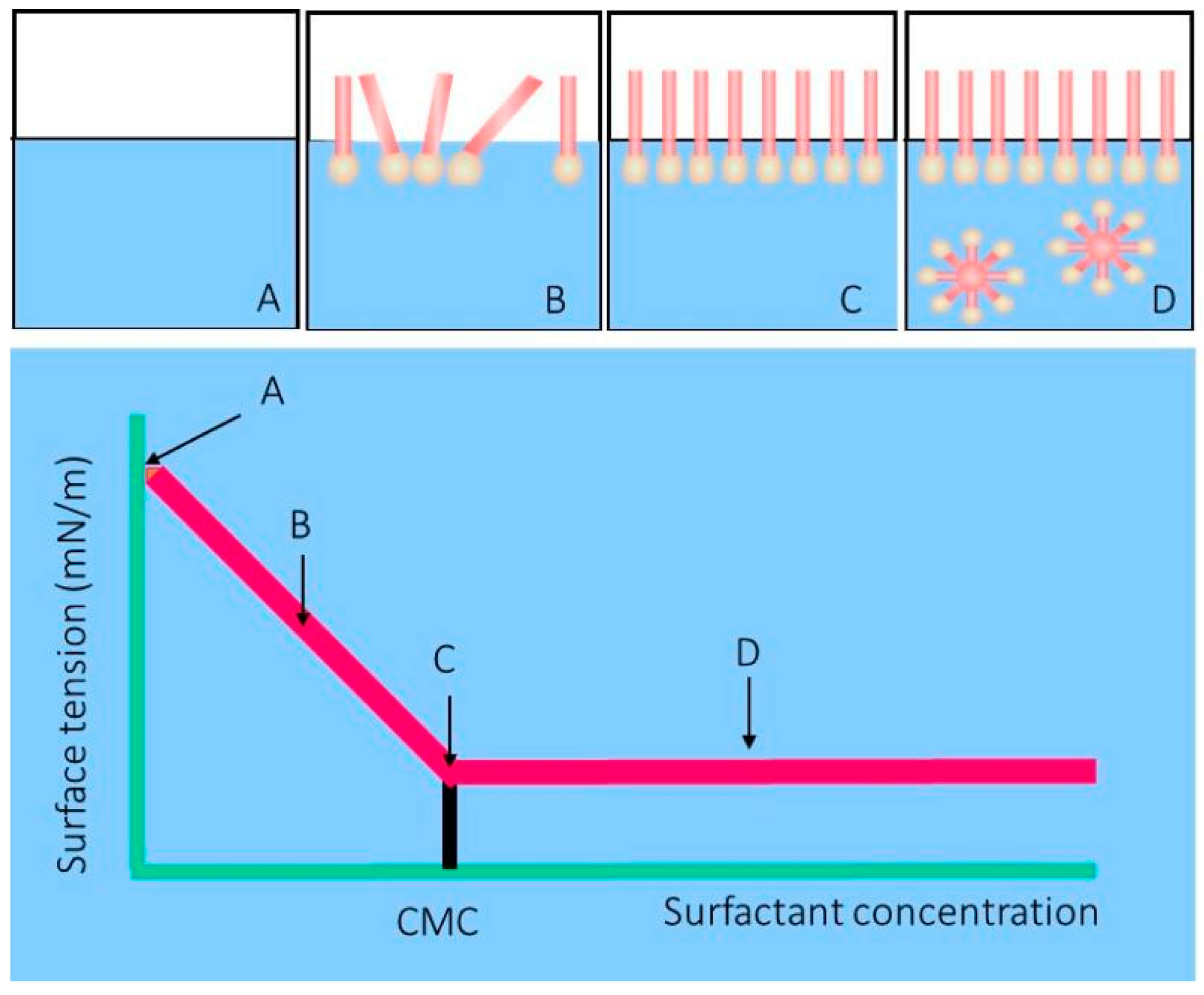 Energies 16 01209 g001