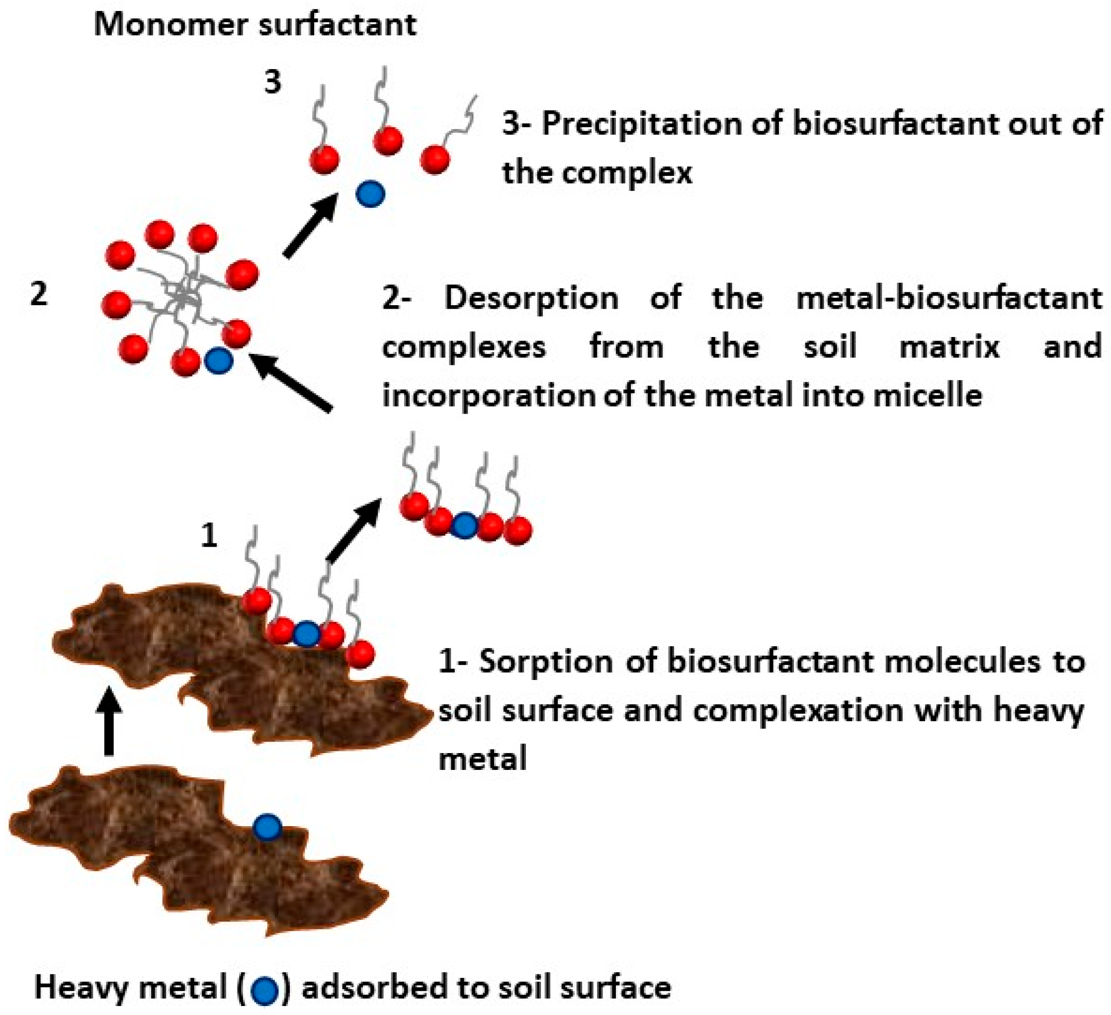 Energies 16 01209 g005