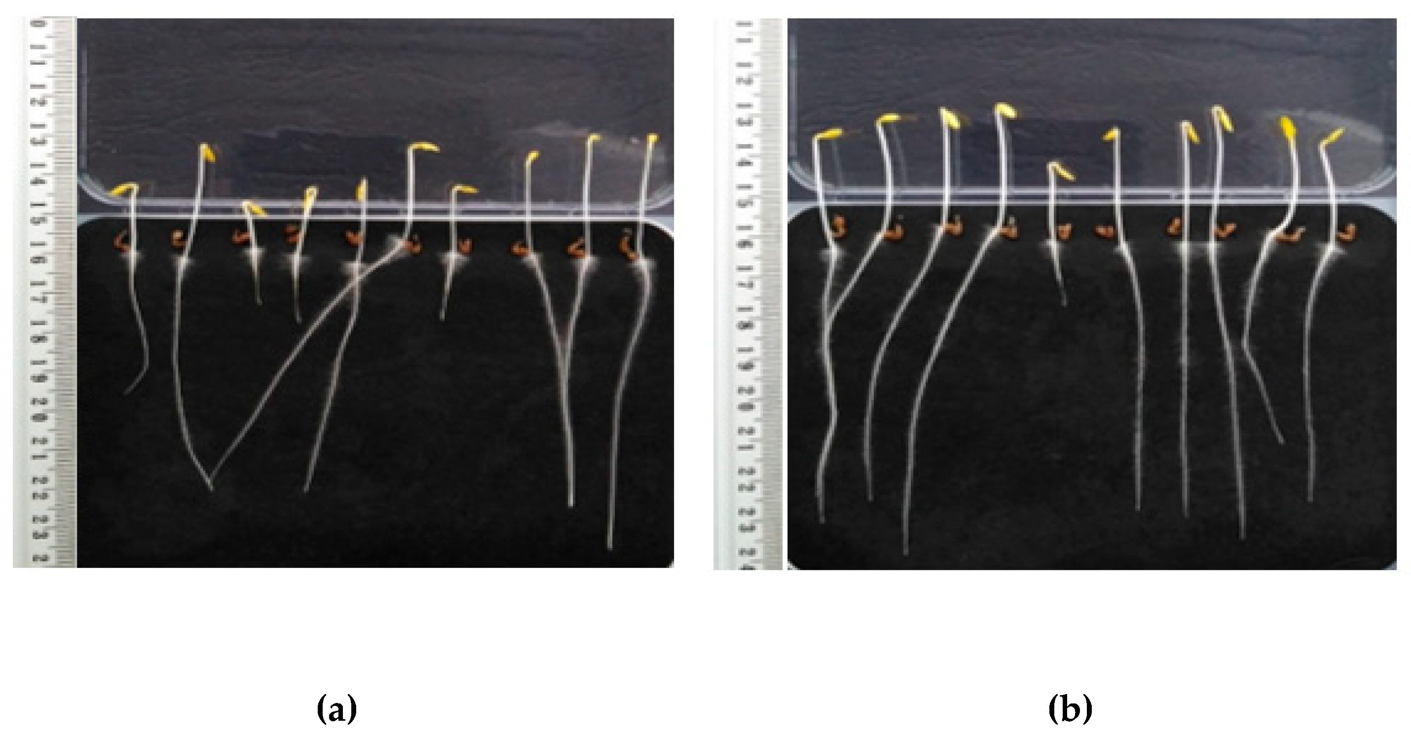Energies 16 01283 g003