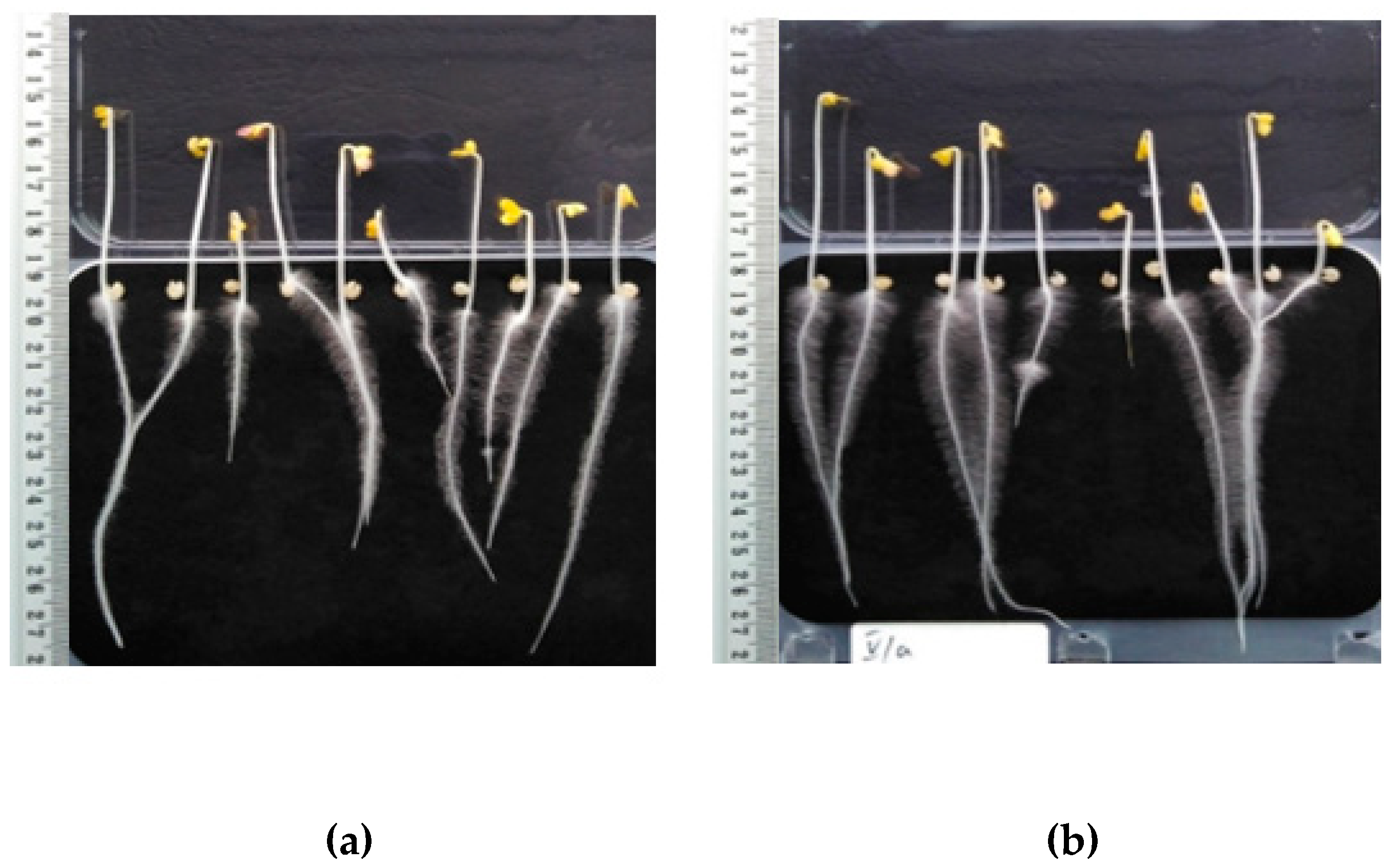 Energies 16 01283 g004