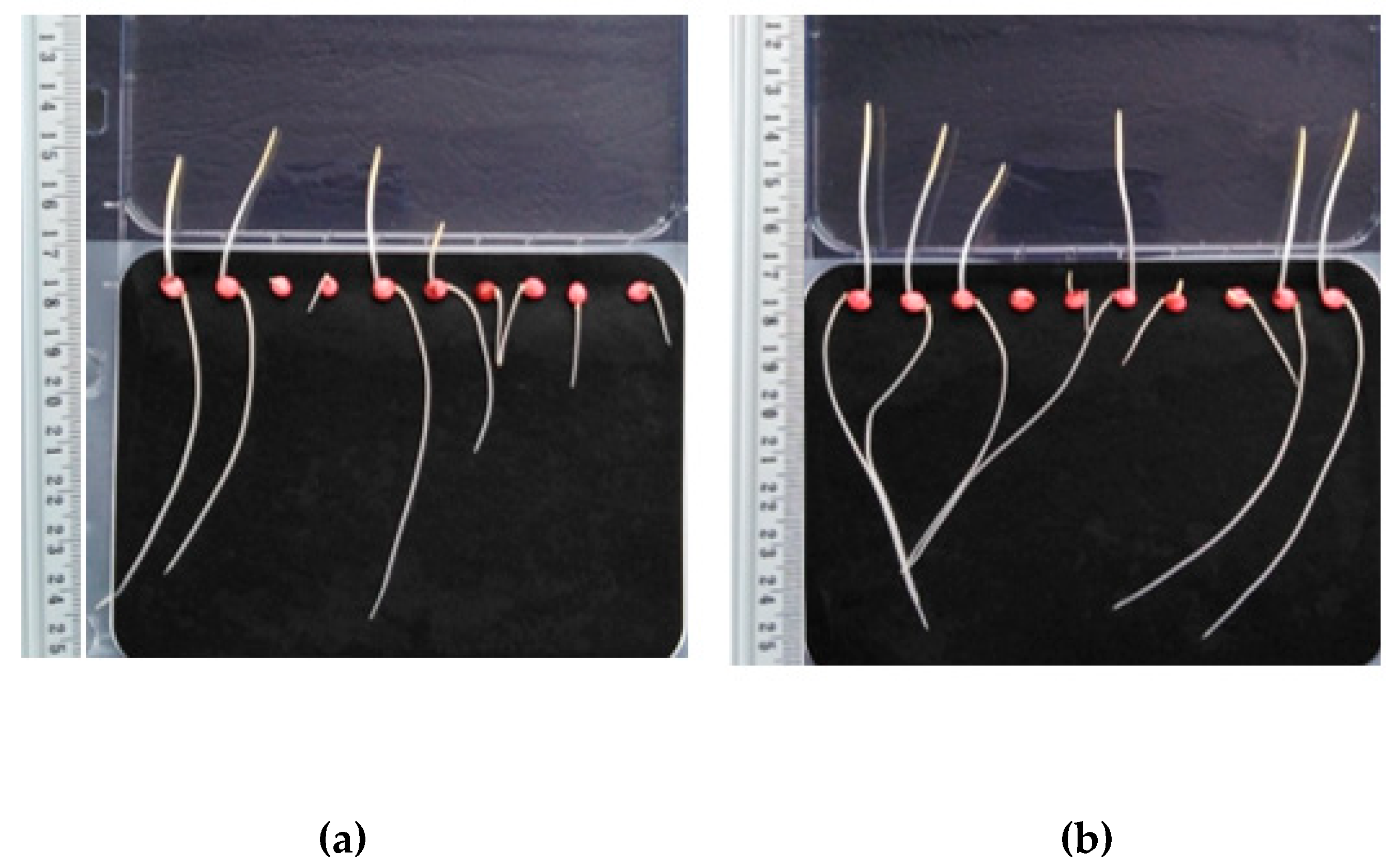 Energies 16 01283 g005