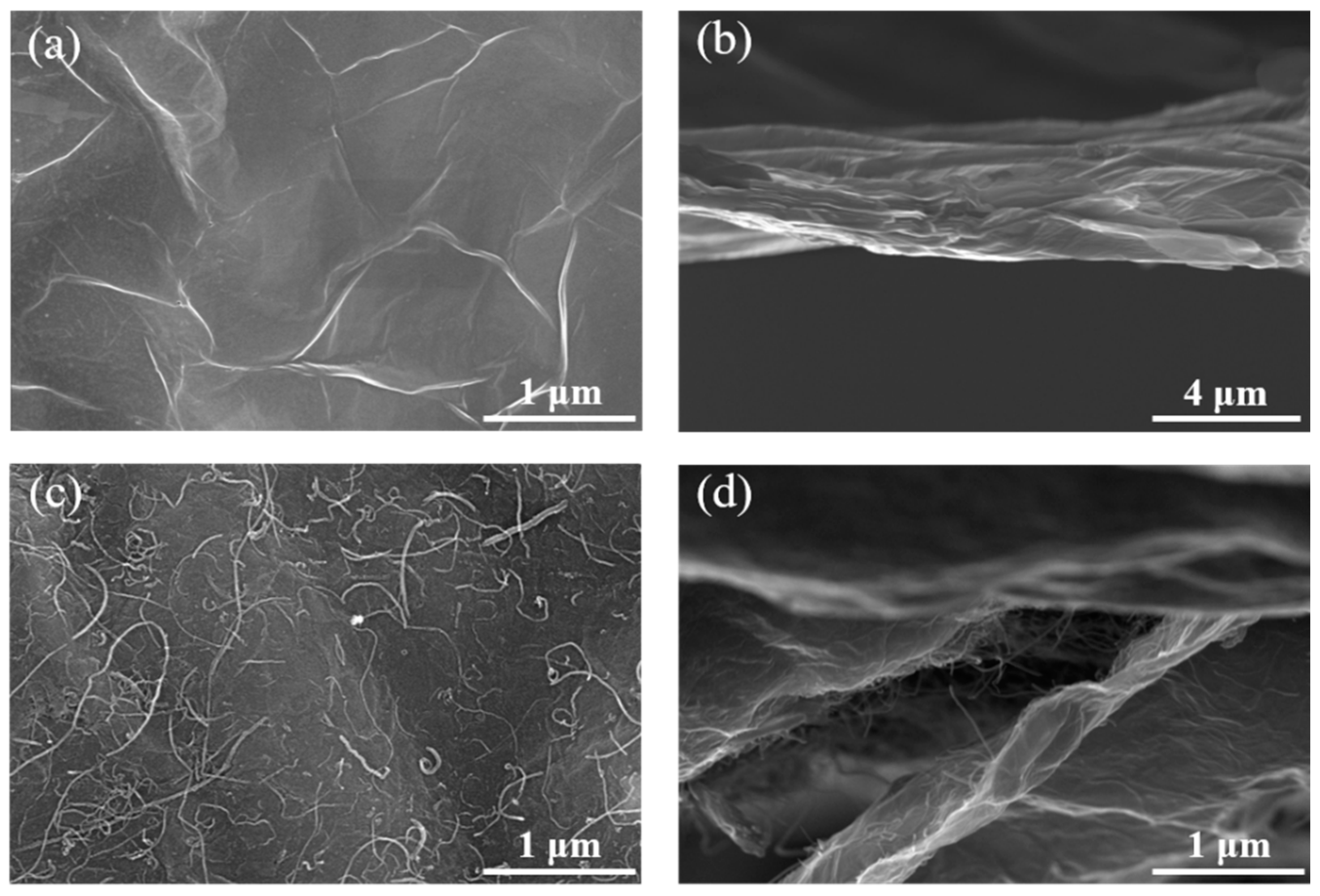 Energies 16 01378 g002