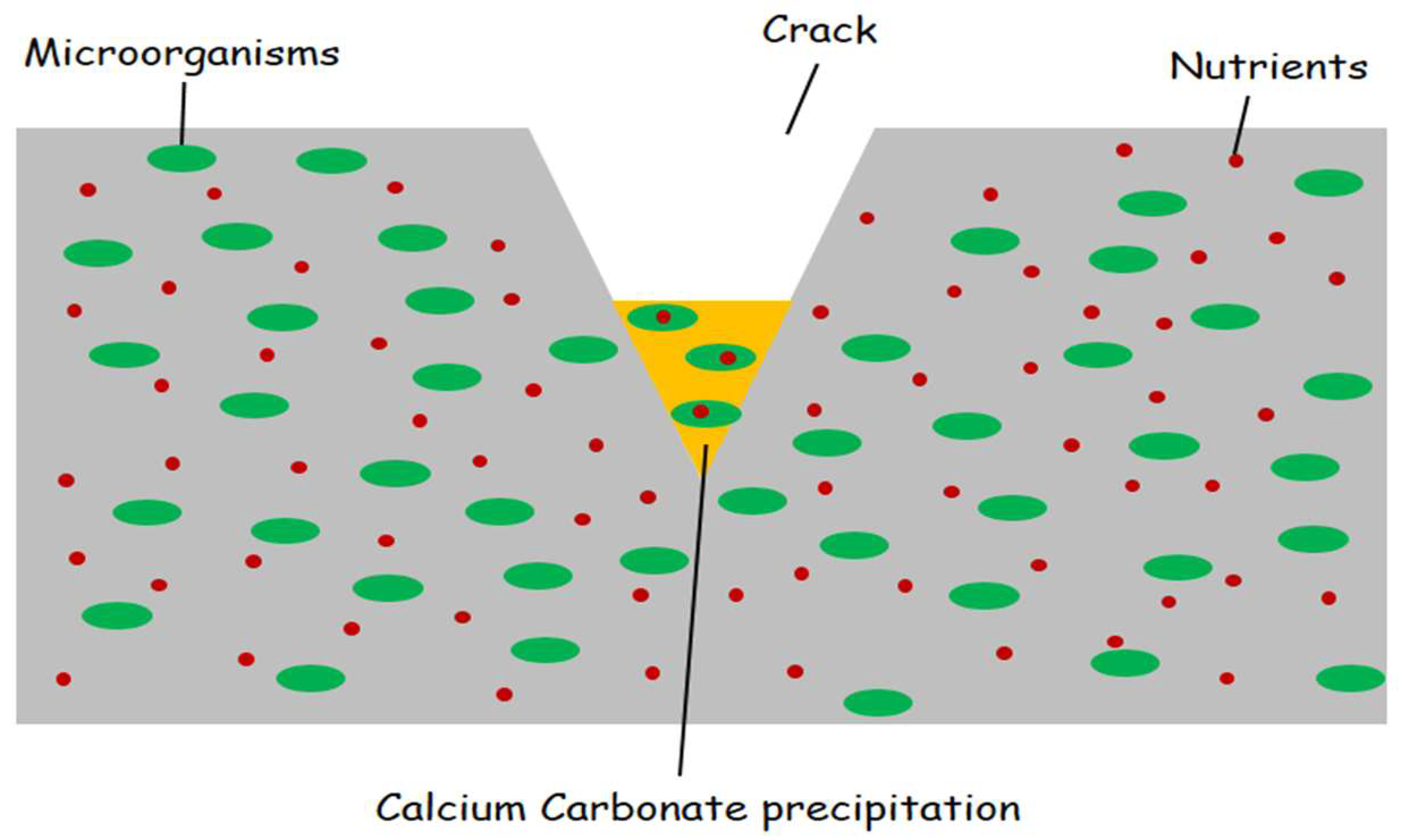 Energies 16 01650 g002