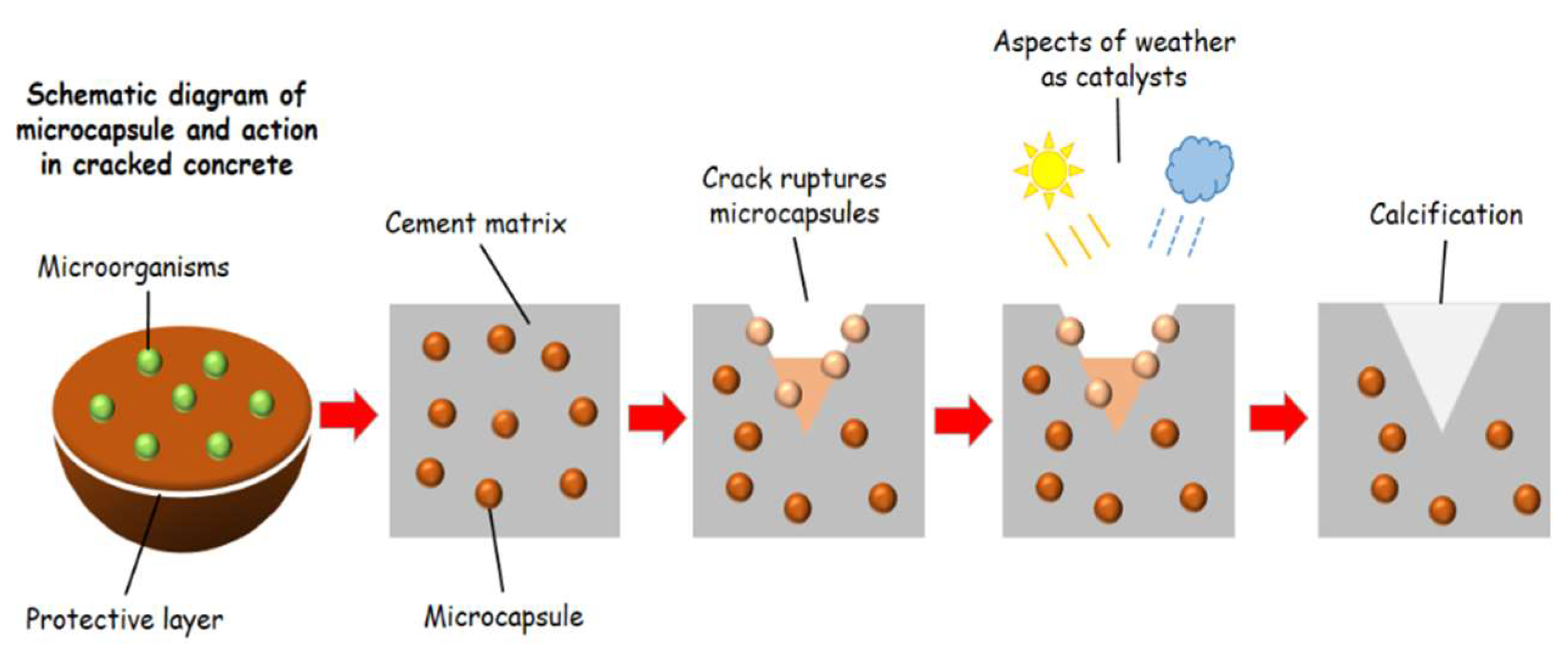 Energies 16 01650 g003