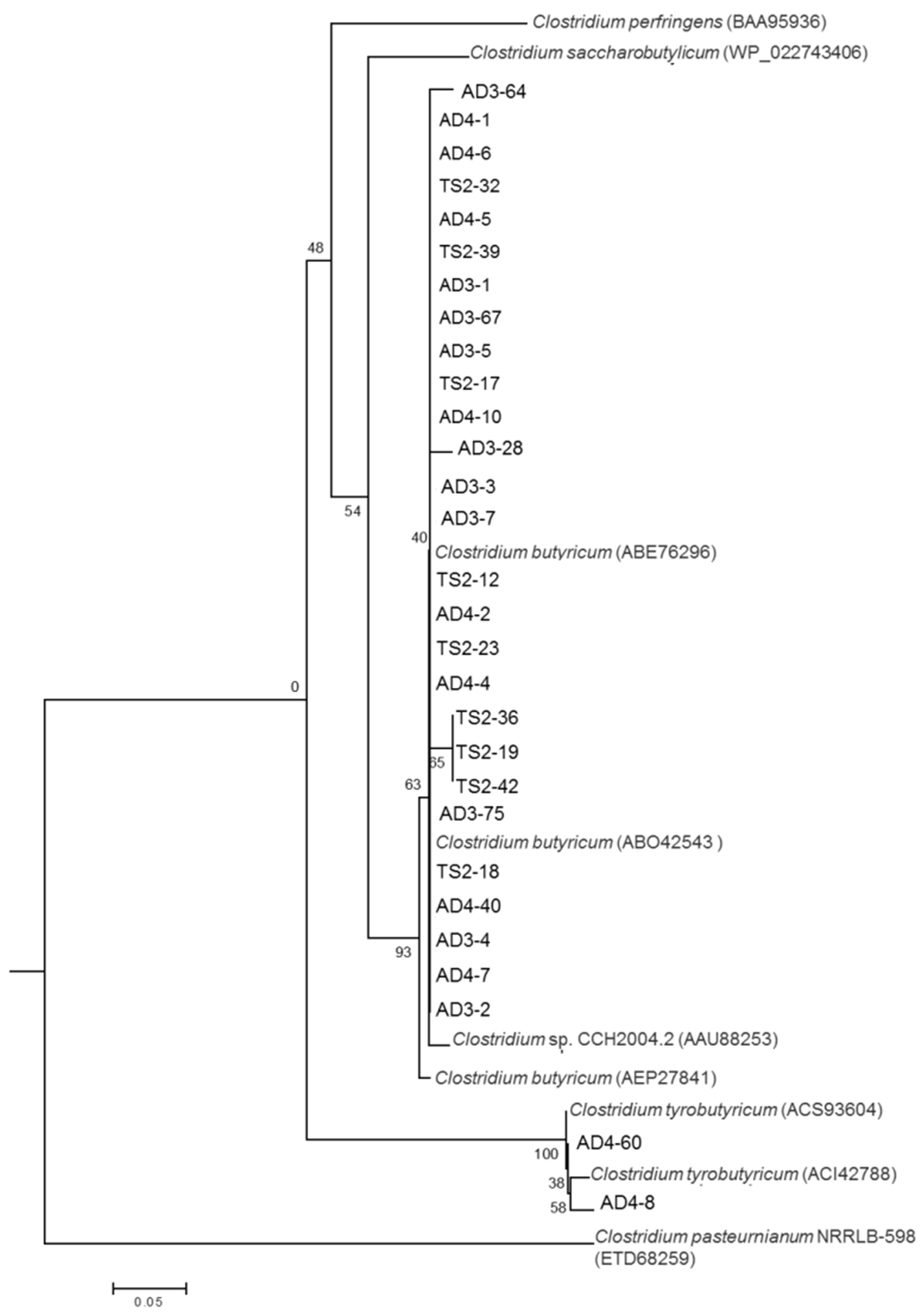 Energies 16 01813 g005