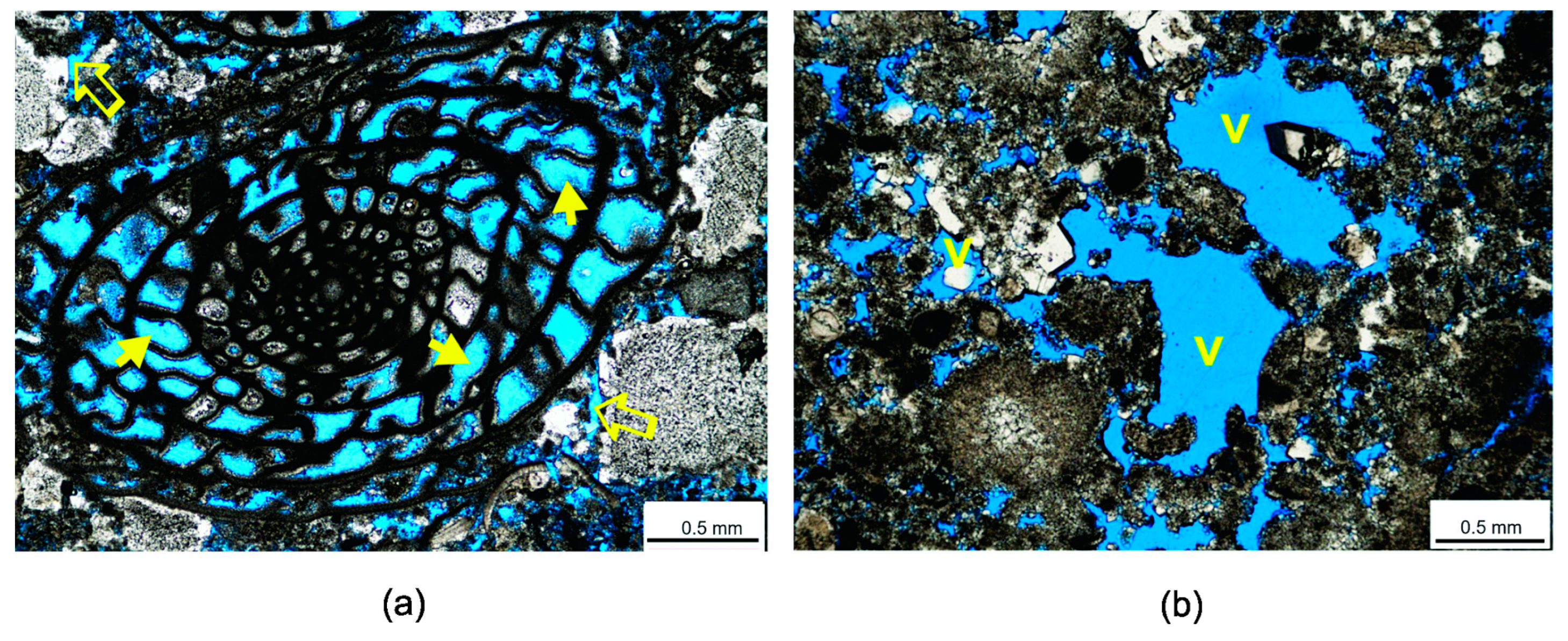Energies 16 02037 g021