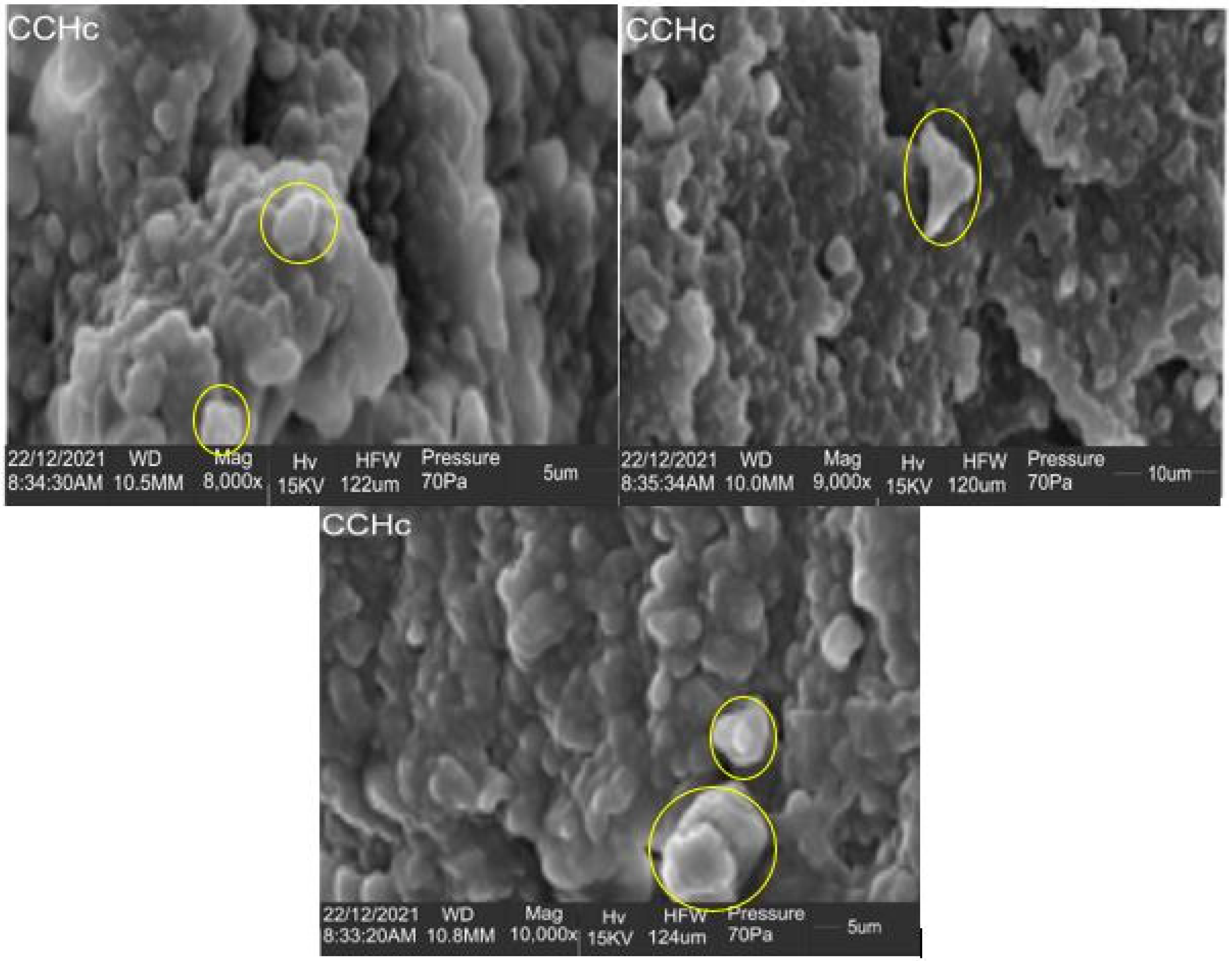 Energies 16 02197 g006