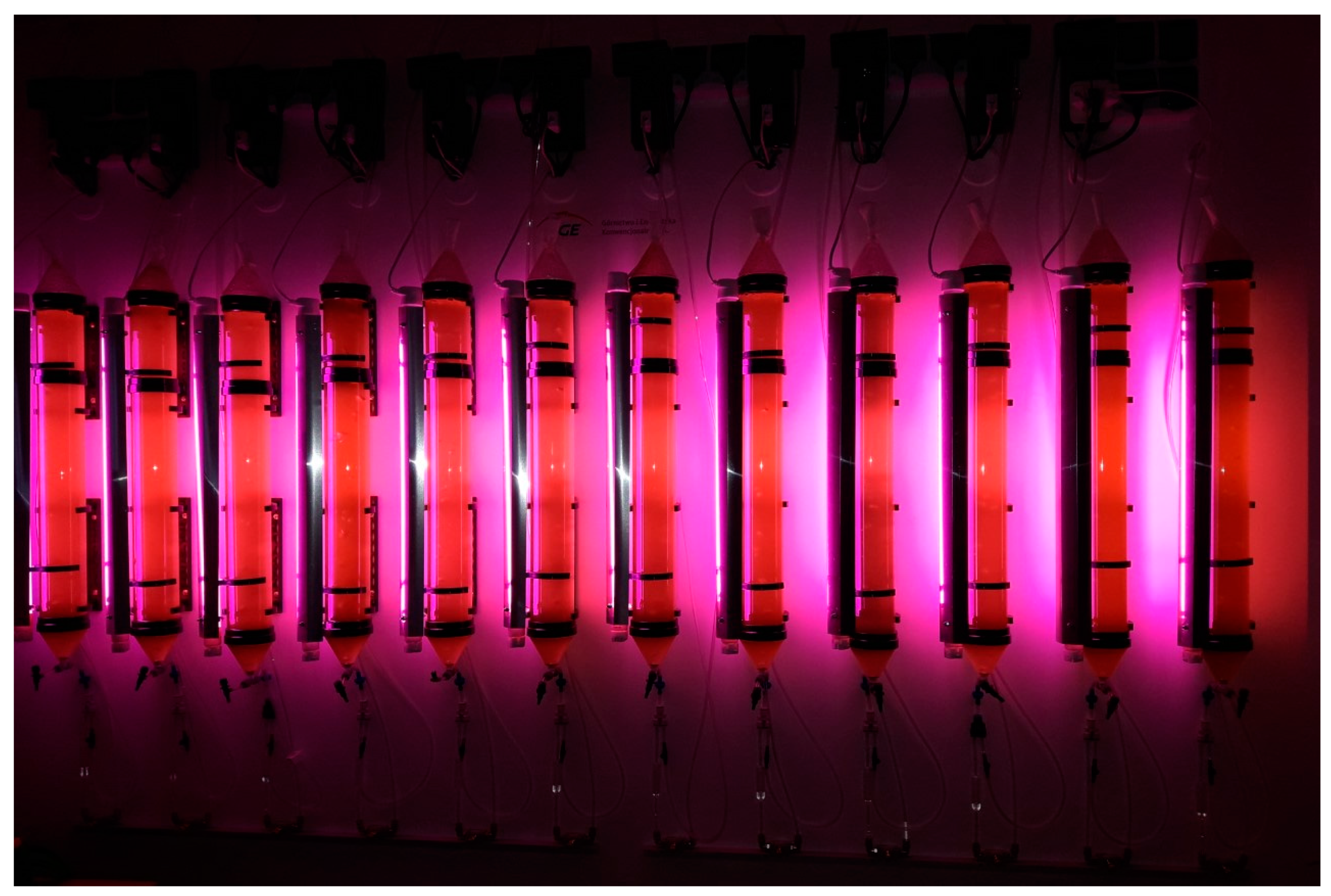 Energies 16 02429 g001