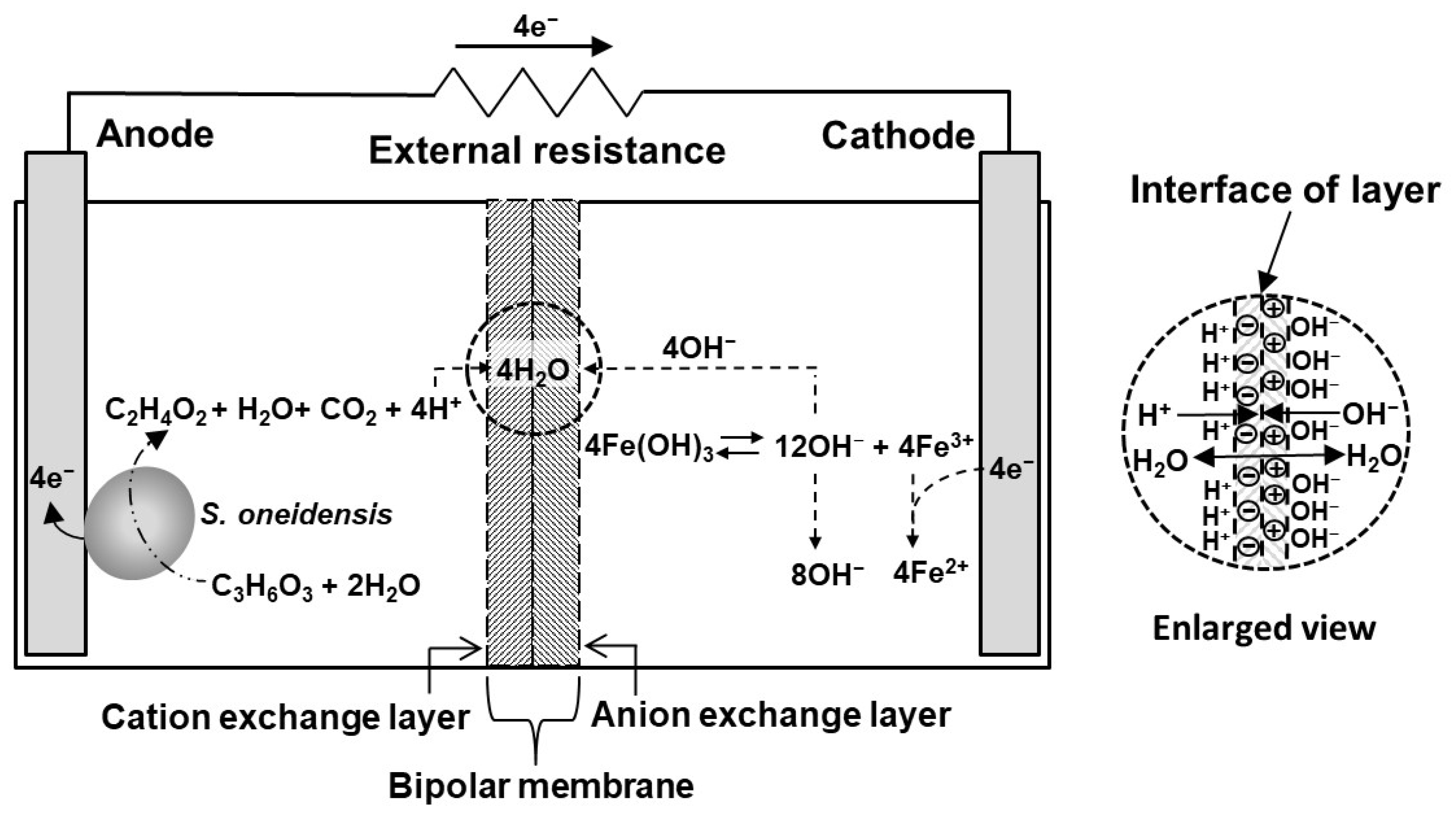 Energies 16 02527 g004 Energies 16 02527 g004