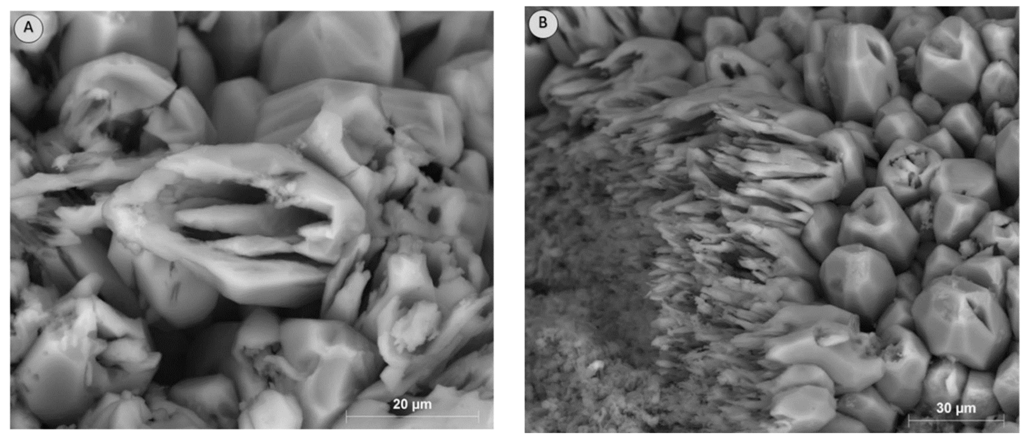 Energies 16 02821 g003 Energies 16 02821 g003