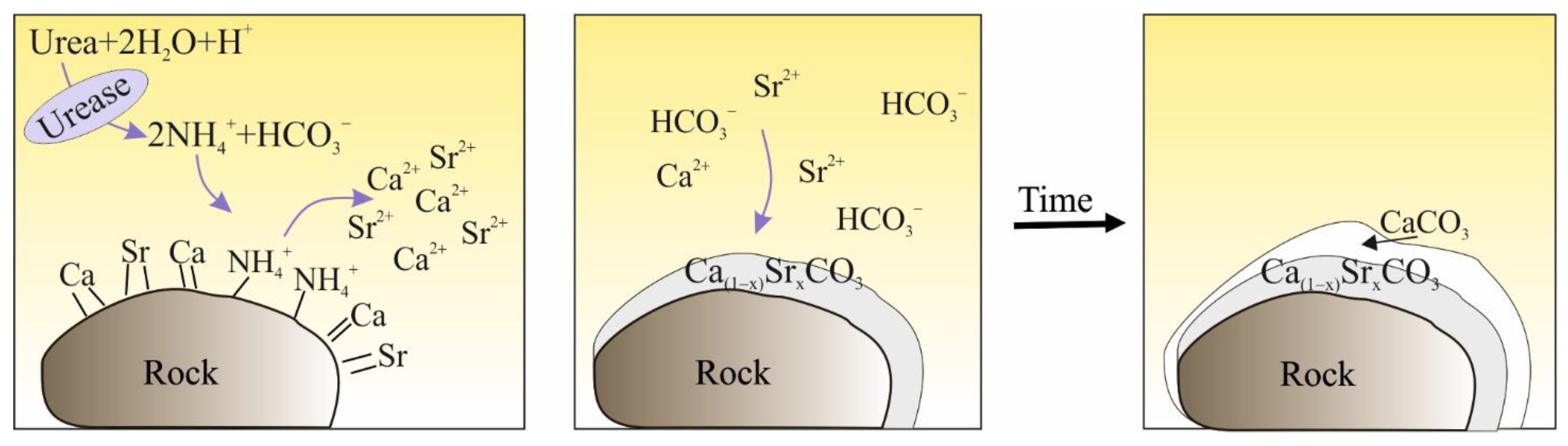 Energies 16 02849 g002