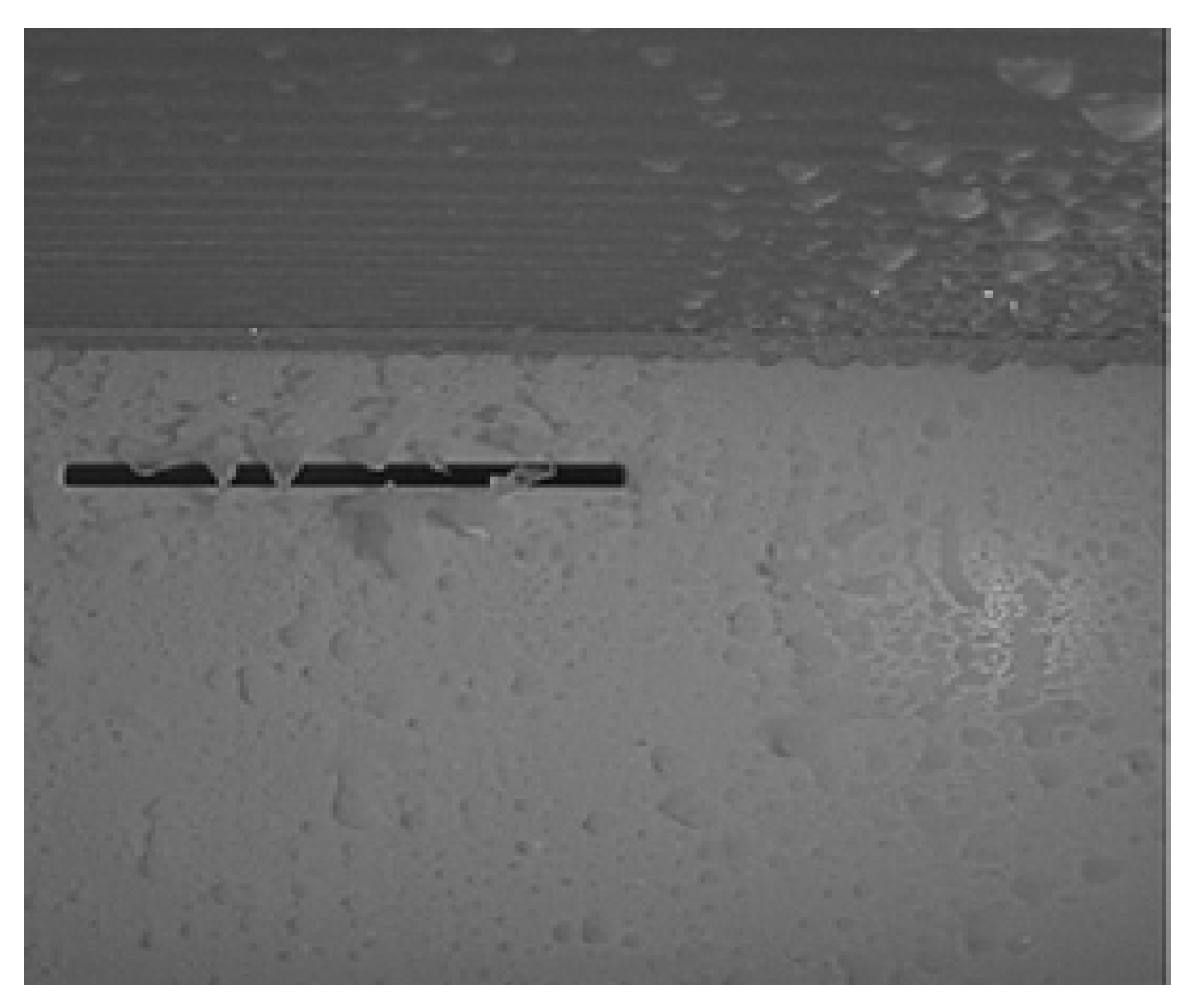 Energies 16 02945 g009 Energies 16 02945 g009