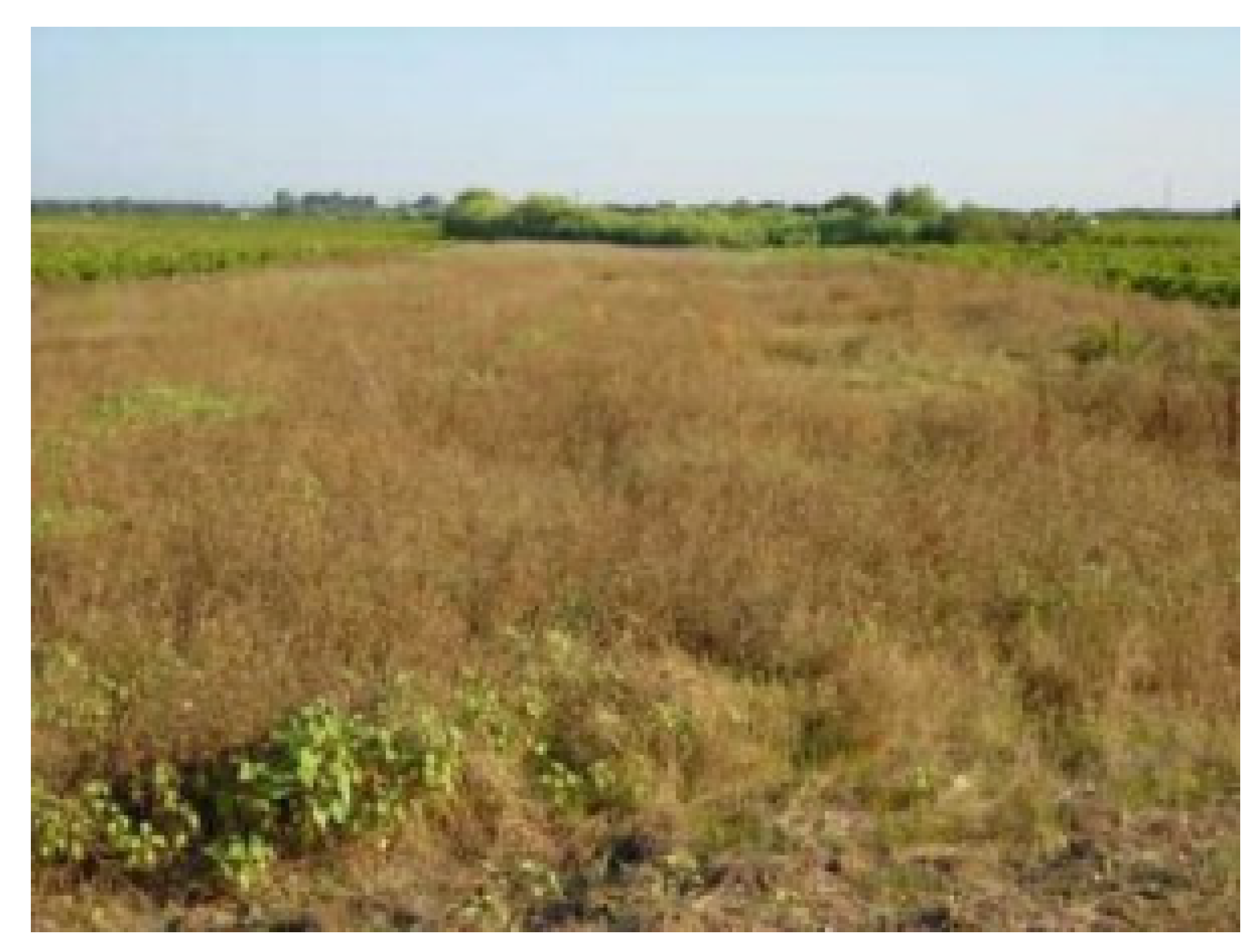 Energies 16 02991 g007