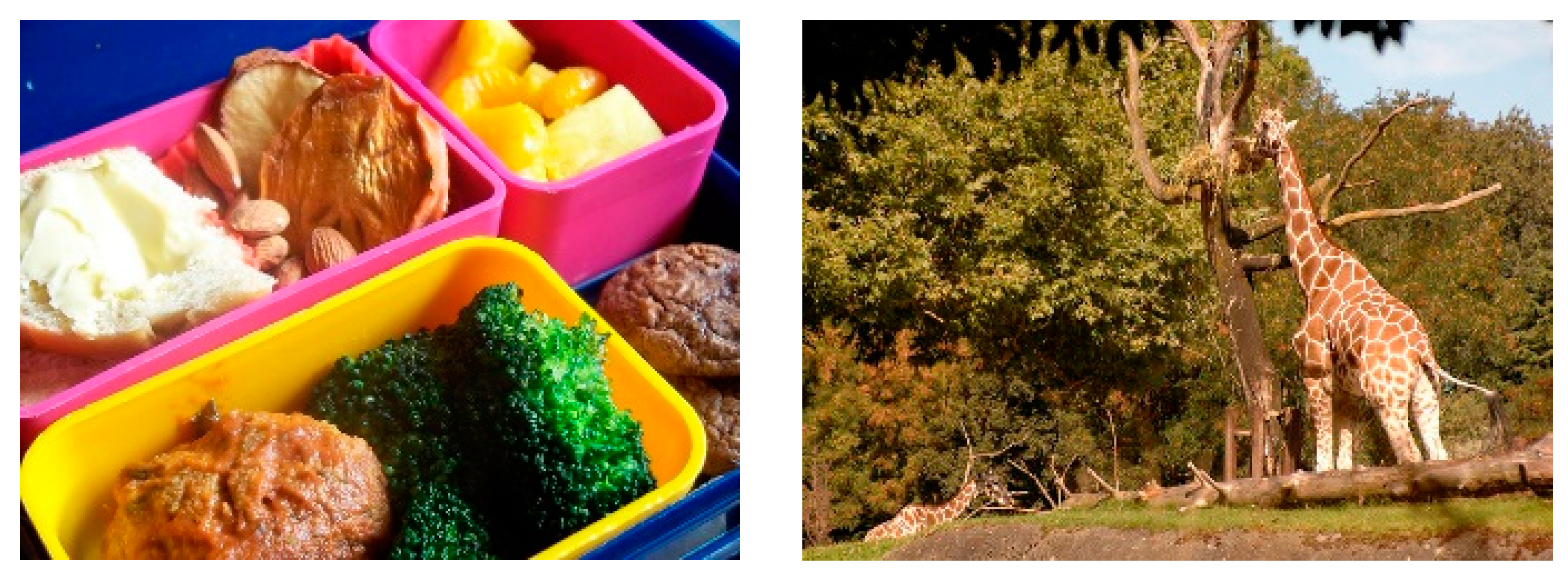 Energies 16 02996 g009 Energies 16 02996 g009