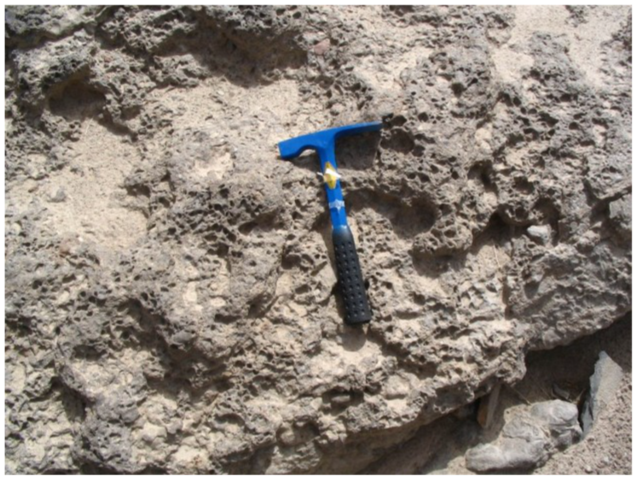 Energies 16 03041 g001