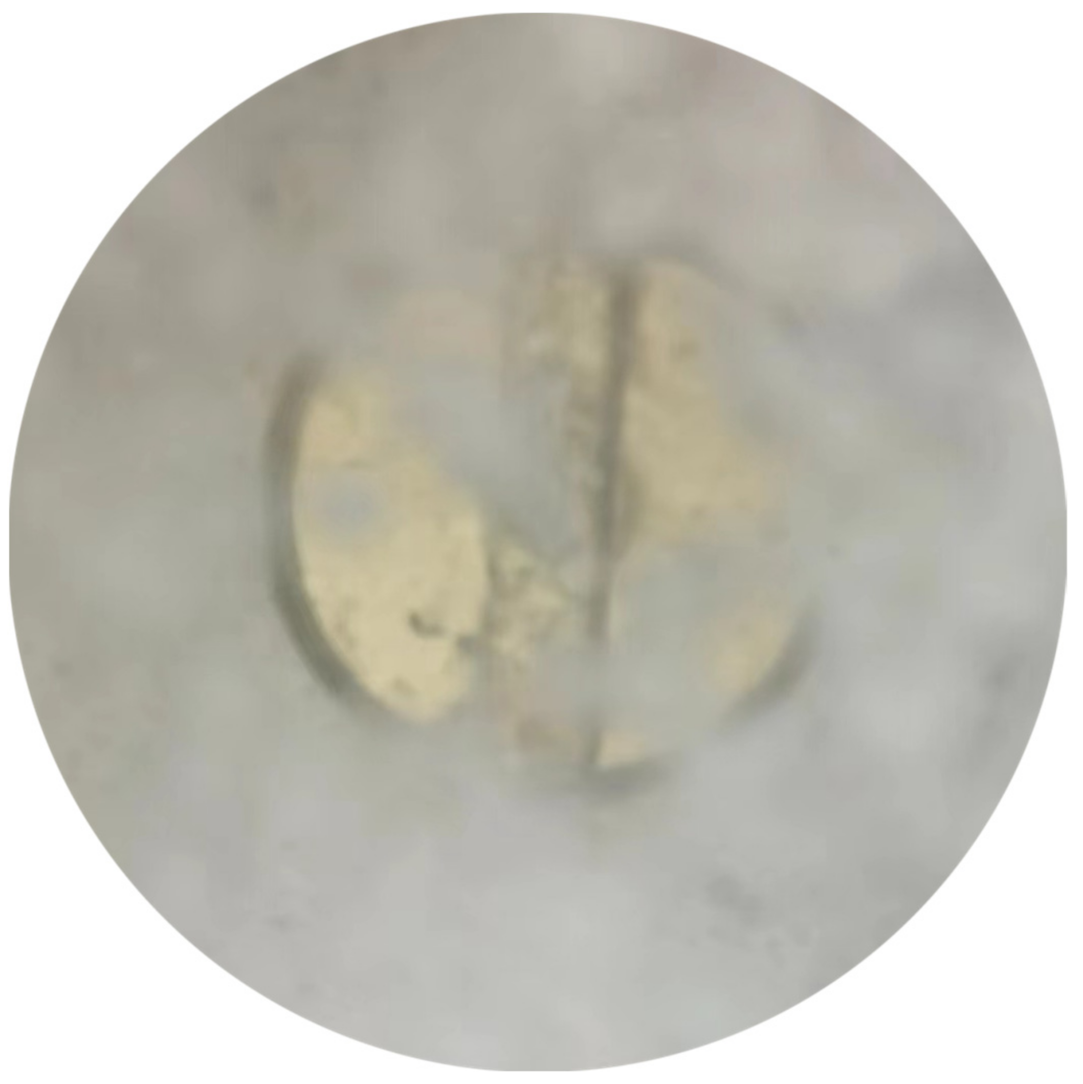 Energies 16 03045 g013